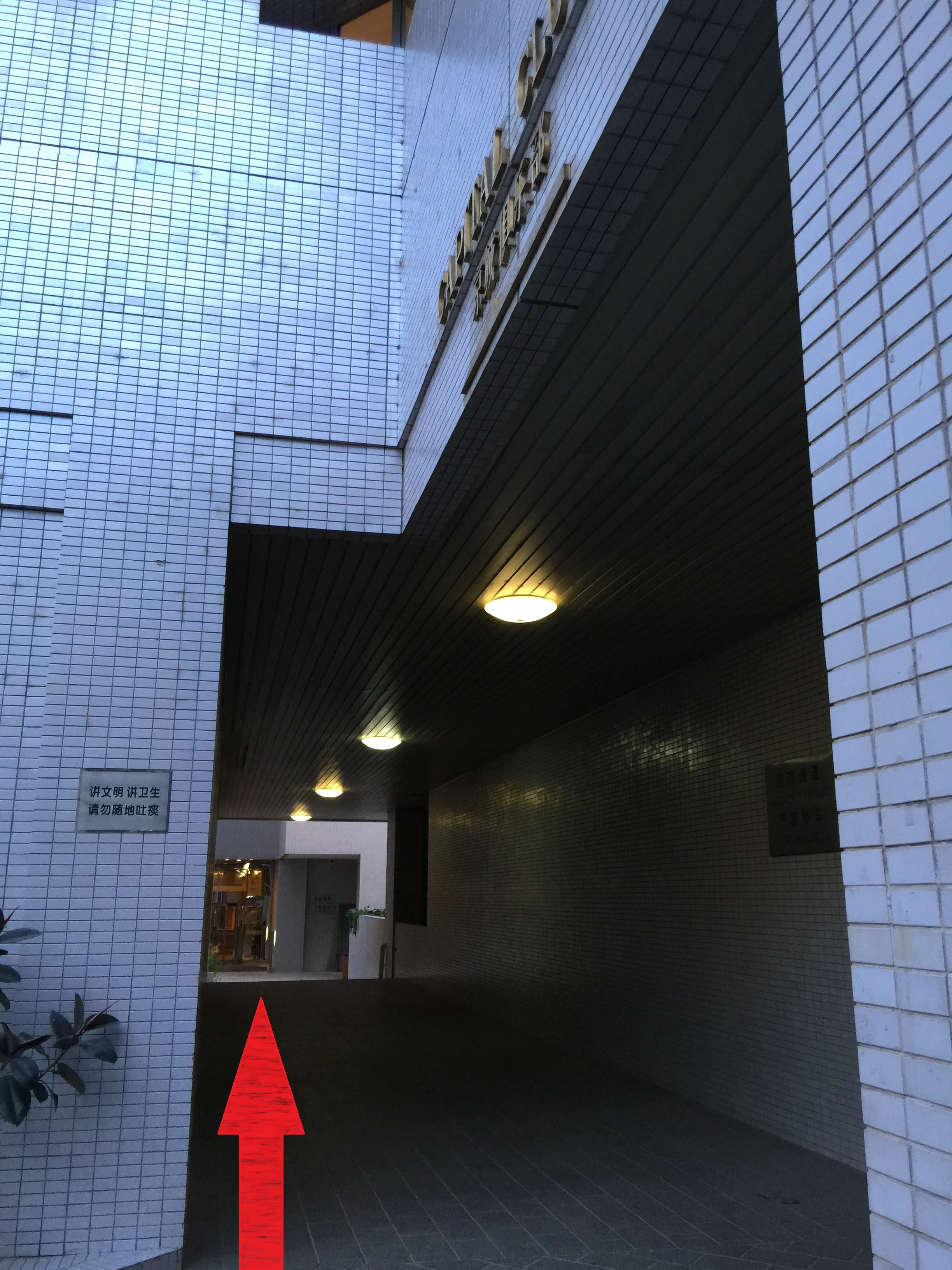 5. Walk through the tunnel!