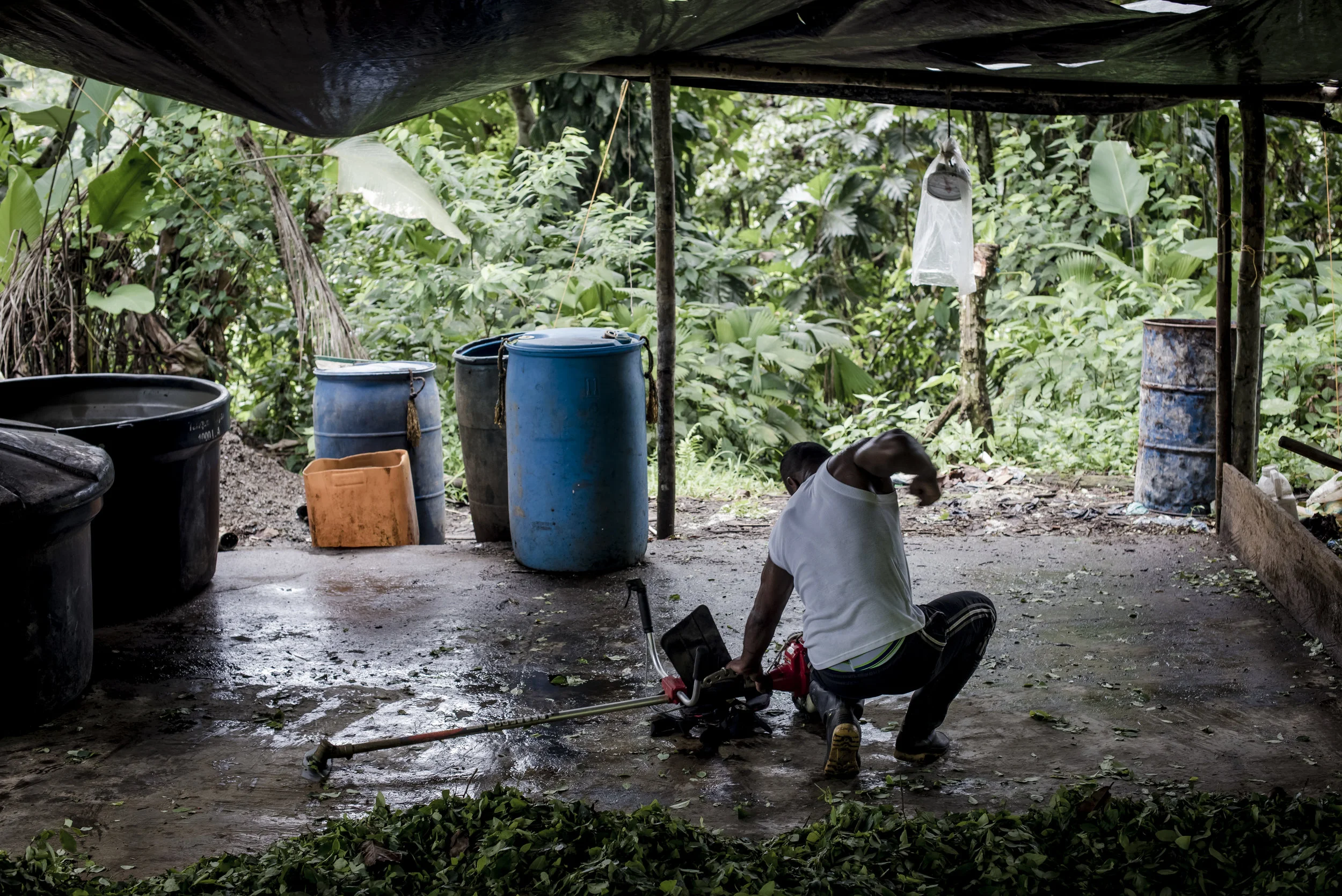 TUMACO, Colombia — Under a canopy hiding his laboratorio from patrolling military aircraft, Ricardo shreds green coca leaves until they carpet the jungle floor like confetti. It’s an initial step in a process that will turn the leaves into a light paste called pastabase , which Ricardo will sell to narcotraffickers after they arrive at his farm and name their price. In turn they will use boats, mules, and even submarines to surreptitiously move 55-gallon drums of pastabase to refineries on the outskirts of the nearby port city of Tumaco. There, it will be processed into cocaine. This series and accompanying article by Christopher Crosby for VICE News , follows Colombia's coca farmers caught in the political crossfire of the country's historic peace process. “What has actually been given to the farmer? The FARC may believe the Colombian government, but the farmer does not.”