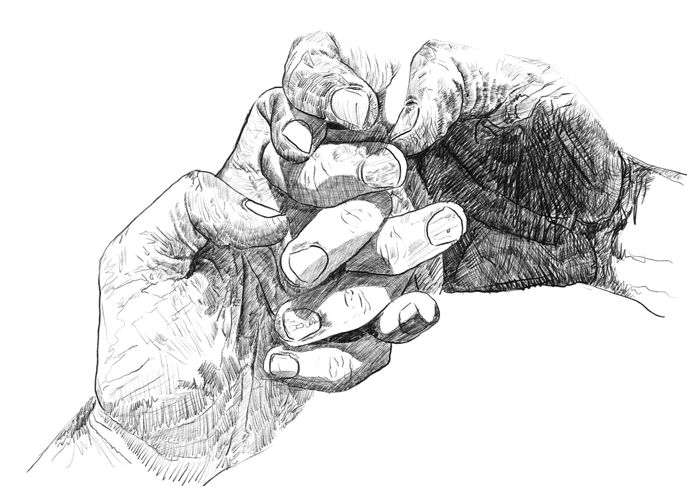 Hand-Study-5.jpg