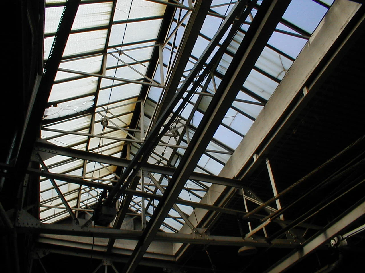 Existing Skylight