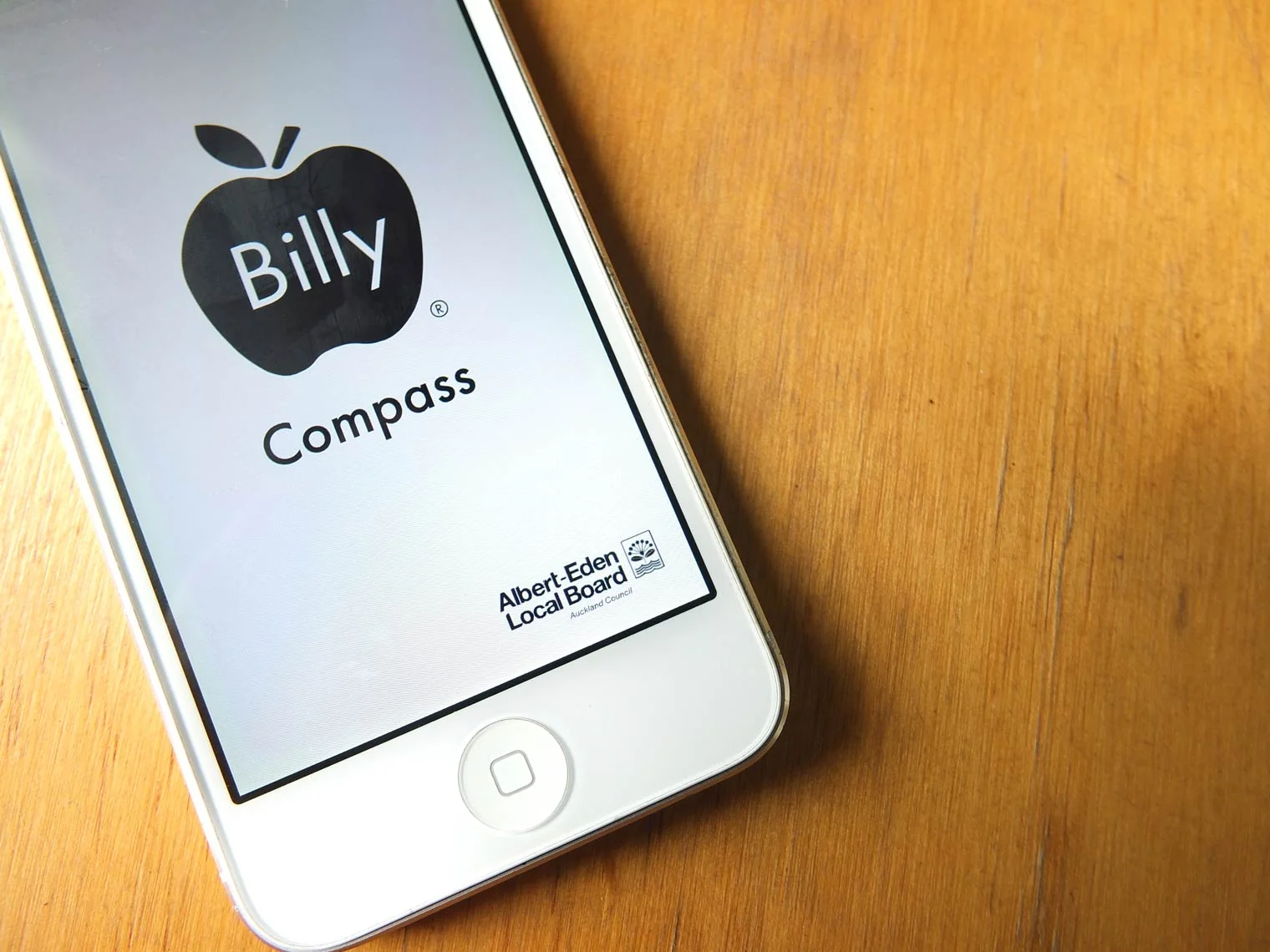 Billy Apple Compass