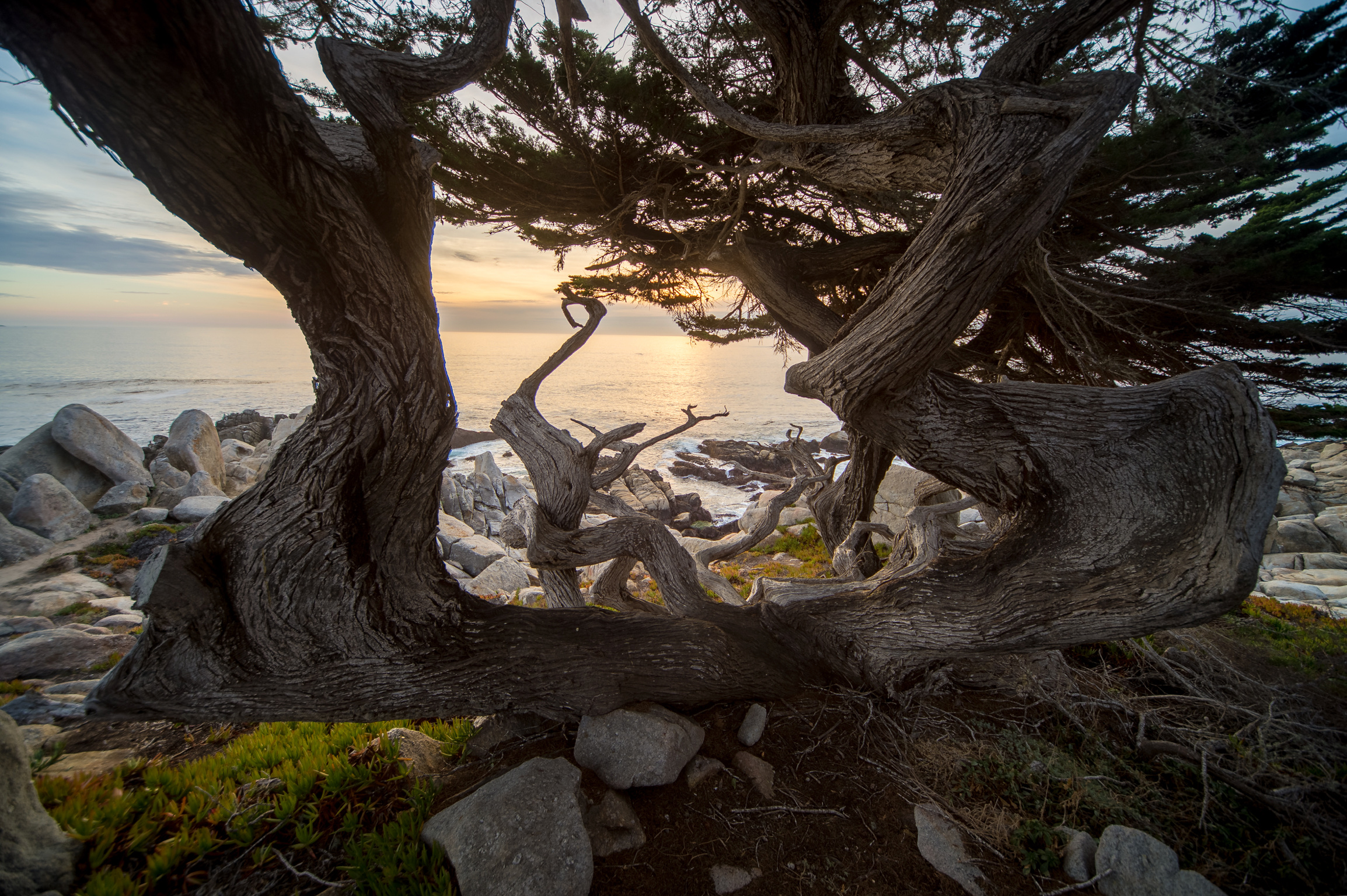 California Coast-107.jpg