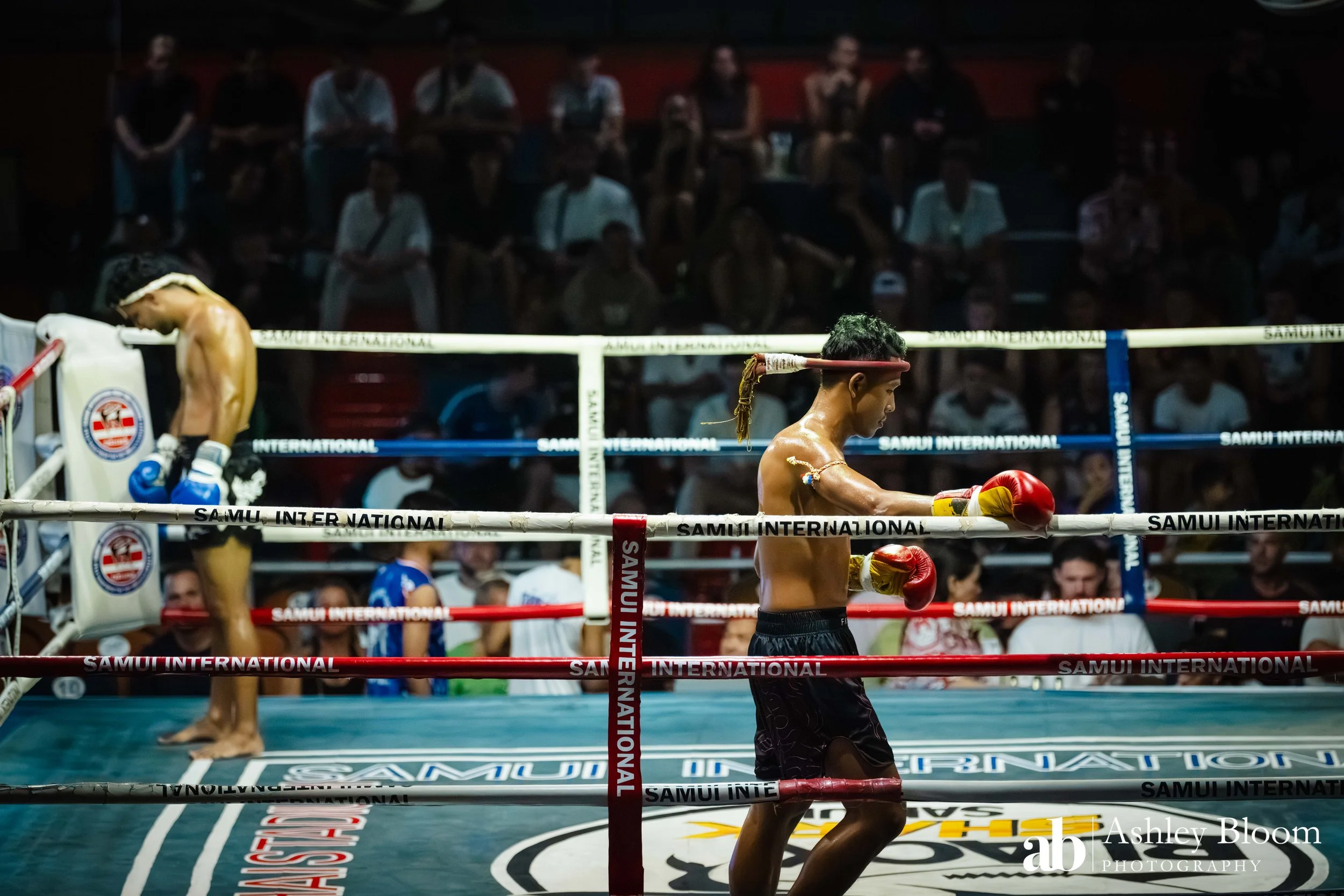 Koh Samui Muay Thai 30.11.25-24.jpg