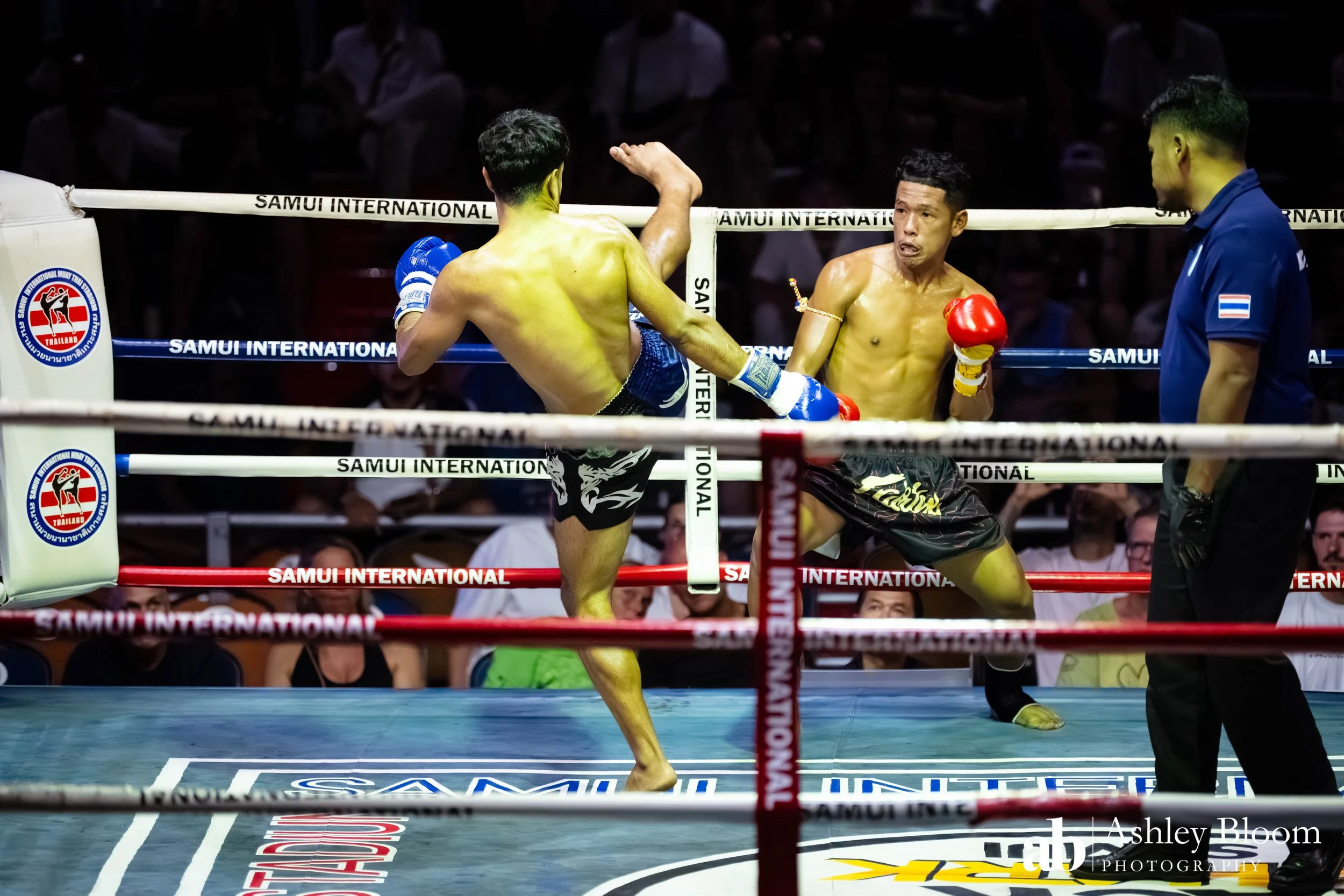 Koh Samui Muay Thai 30.11.25-34.jpg