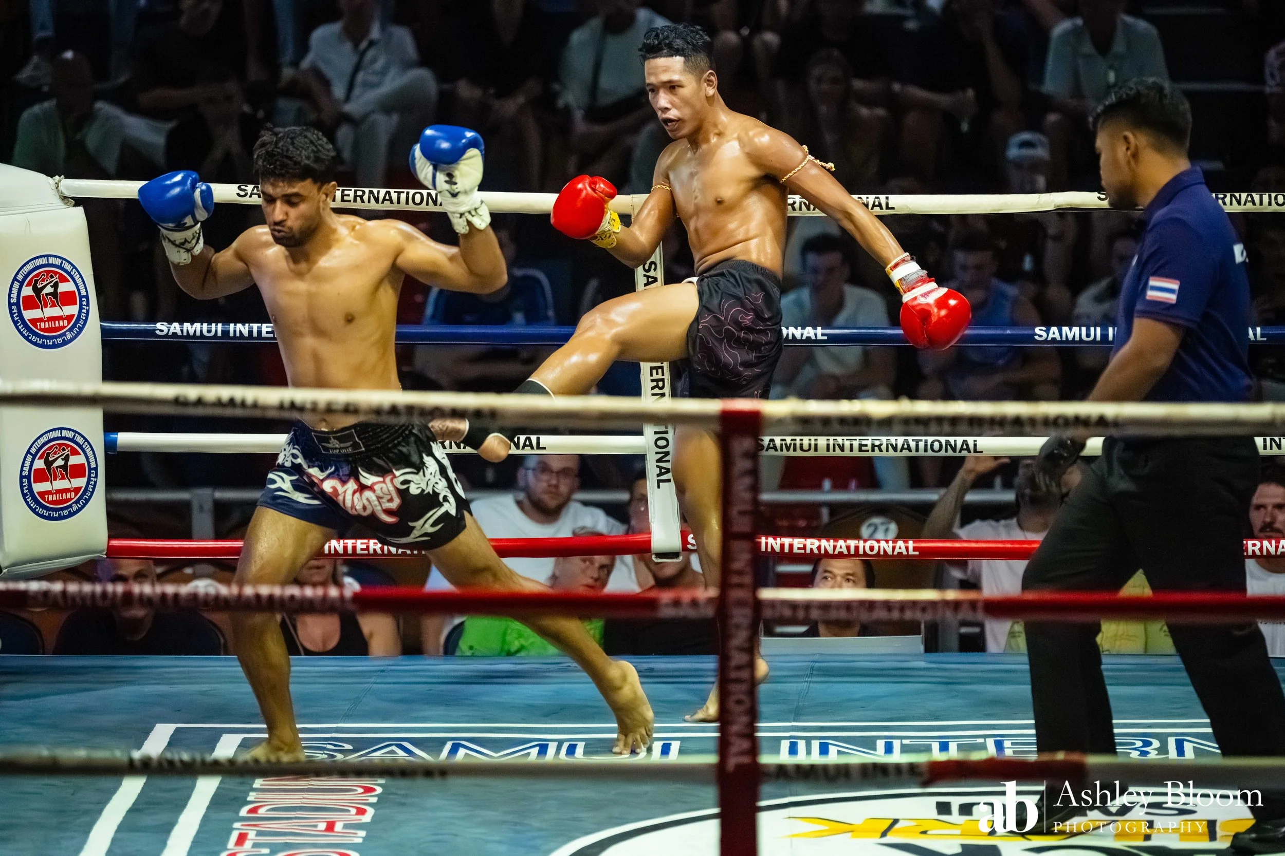Koh Samui Muay Thai 30.11.25-35.jpg
