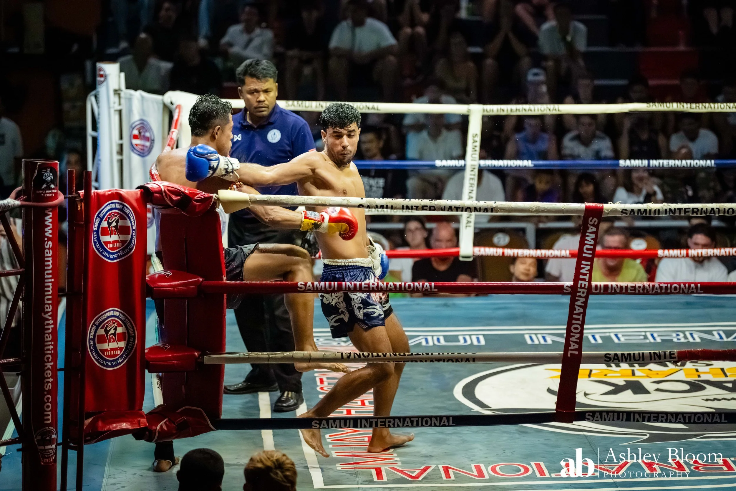 Koh Samui Muay Thai 30.11.25-53.jpg
