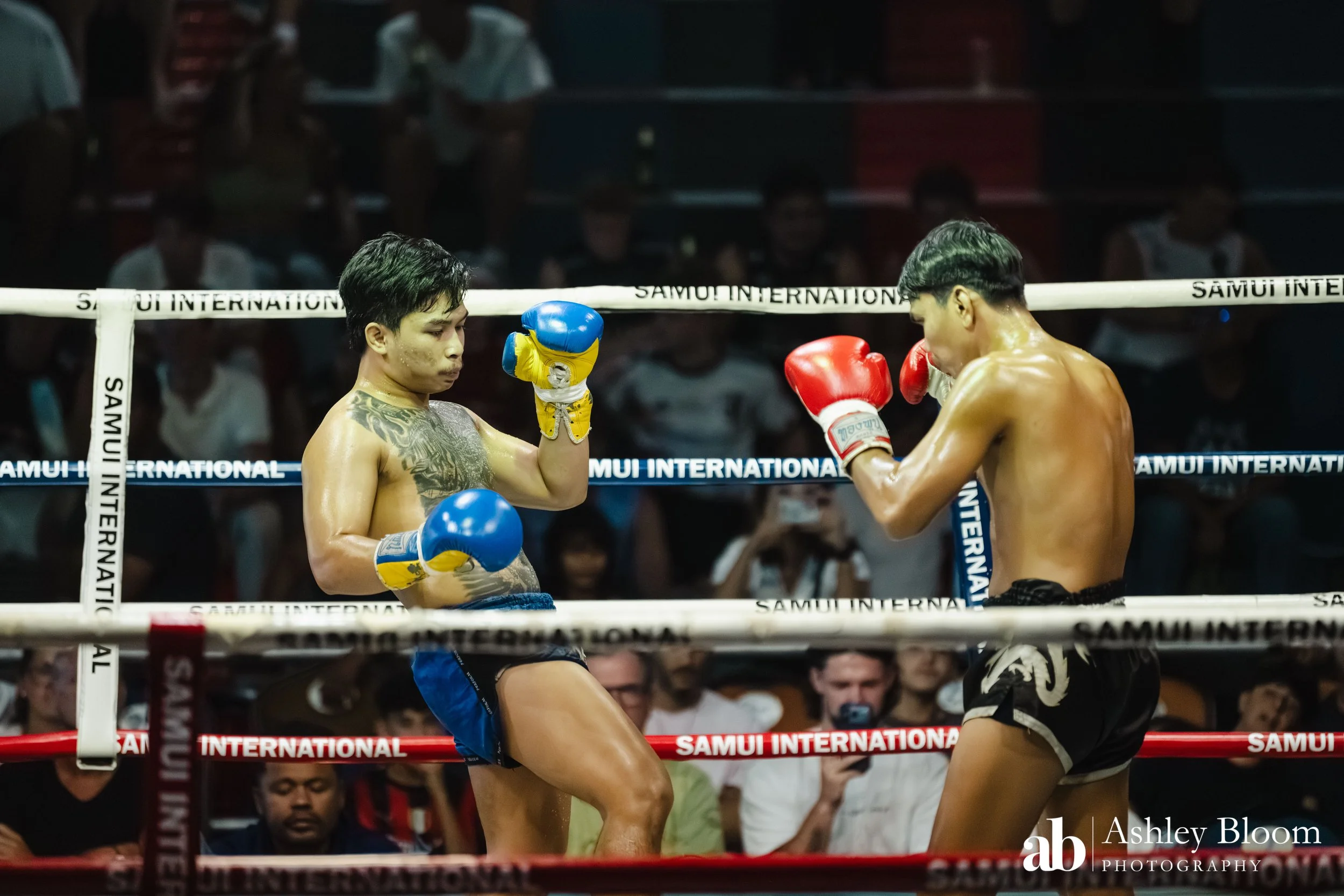 Koh Samui Muay Thai 30.11.25-103.jpg