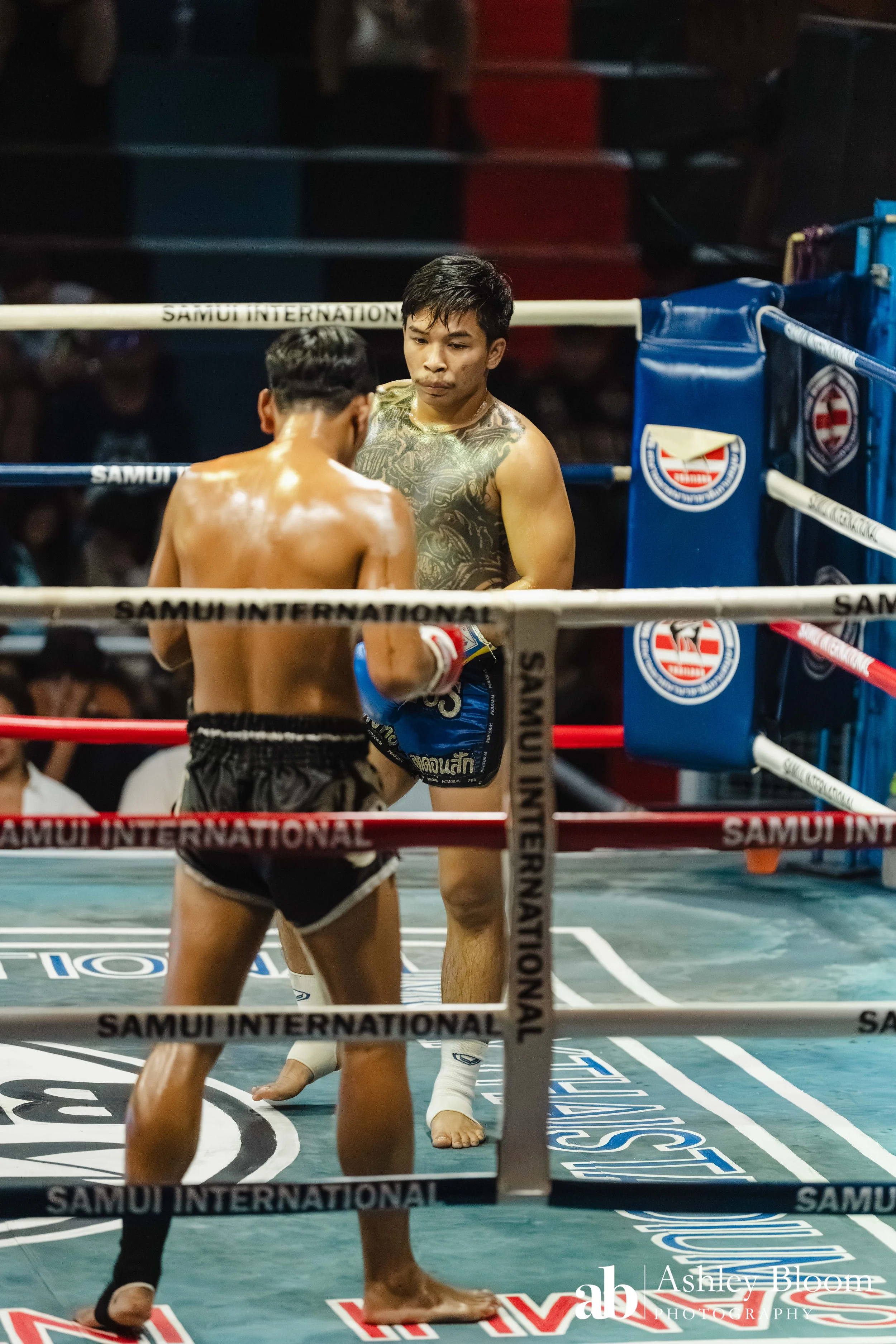Koh Samui Muay Thai 30.11.25-105.jpg