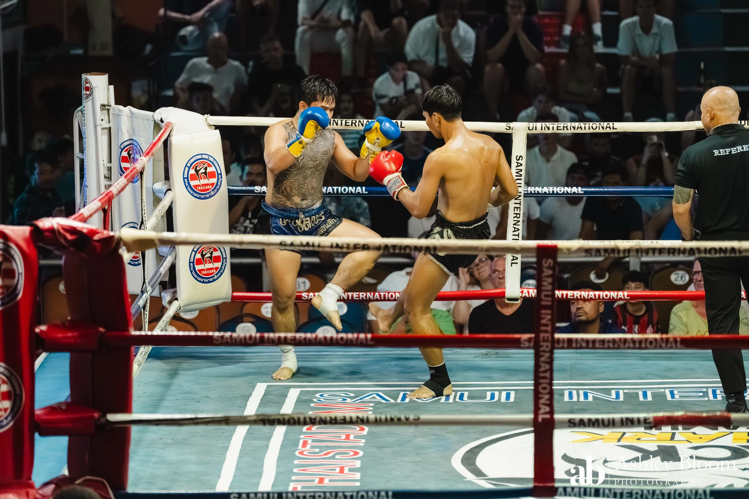 Koh Samui Muay Thai 30.11.25-108.jpg