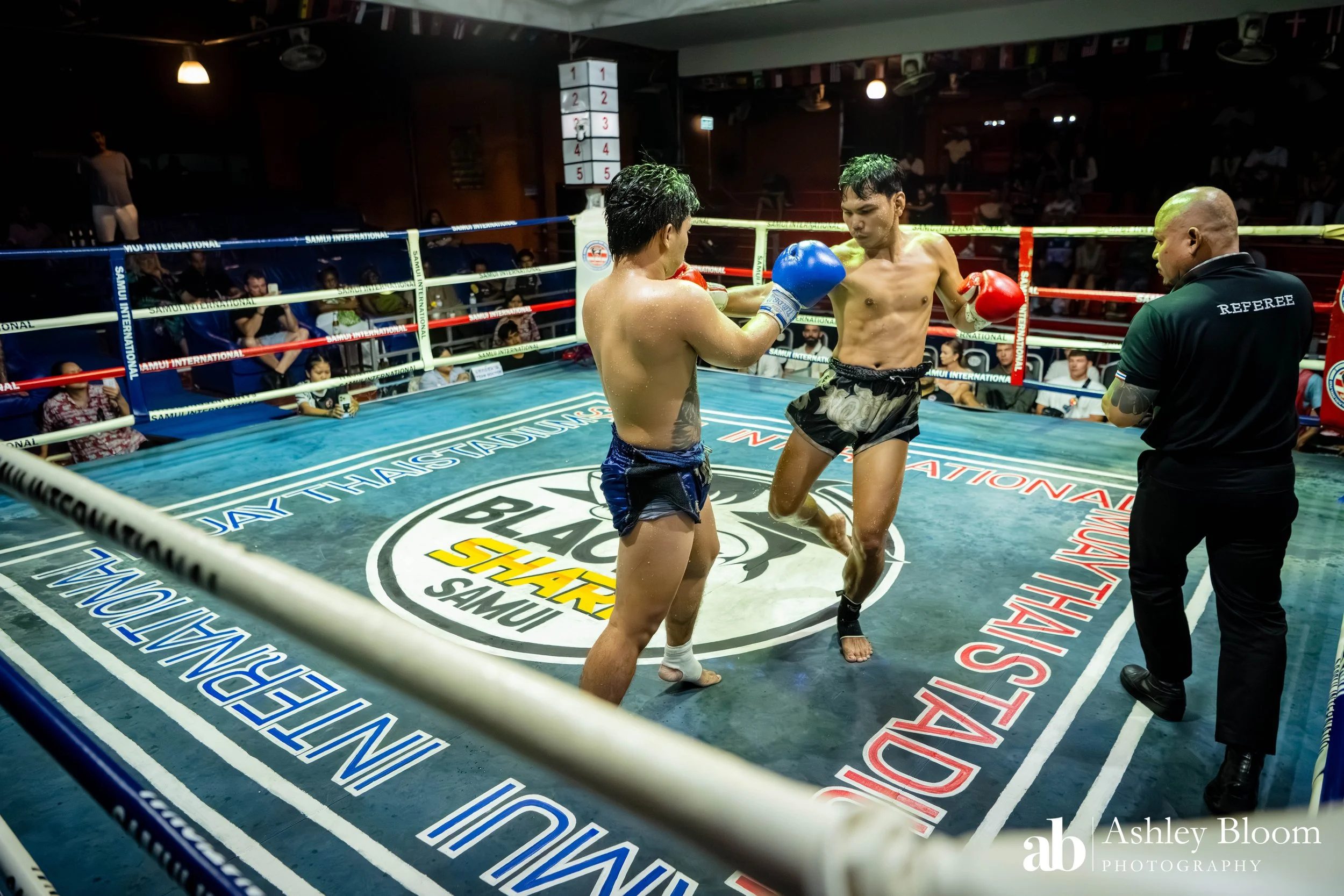 Koh Samui Muay Thai 30.11.25-110.jpg