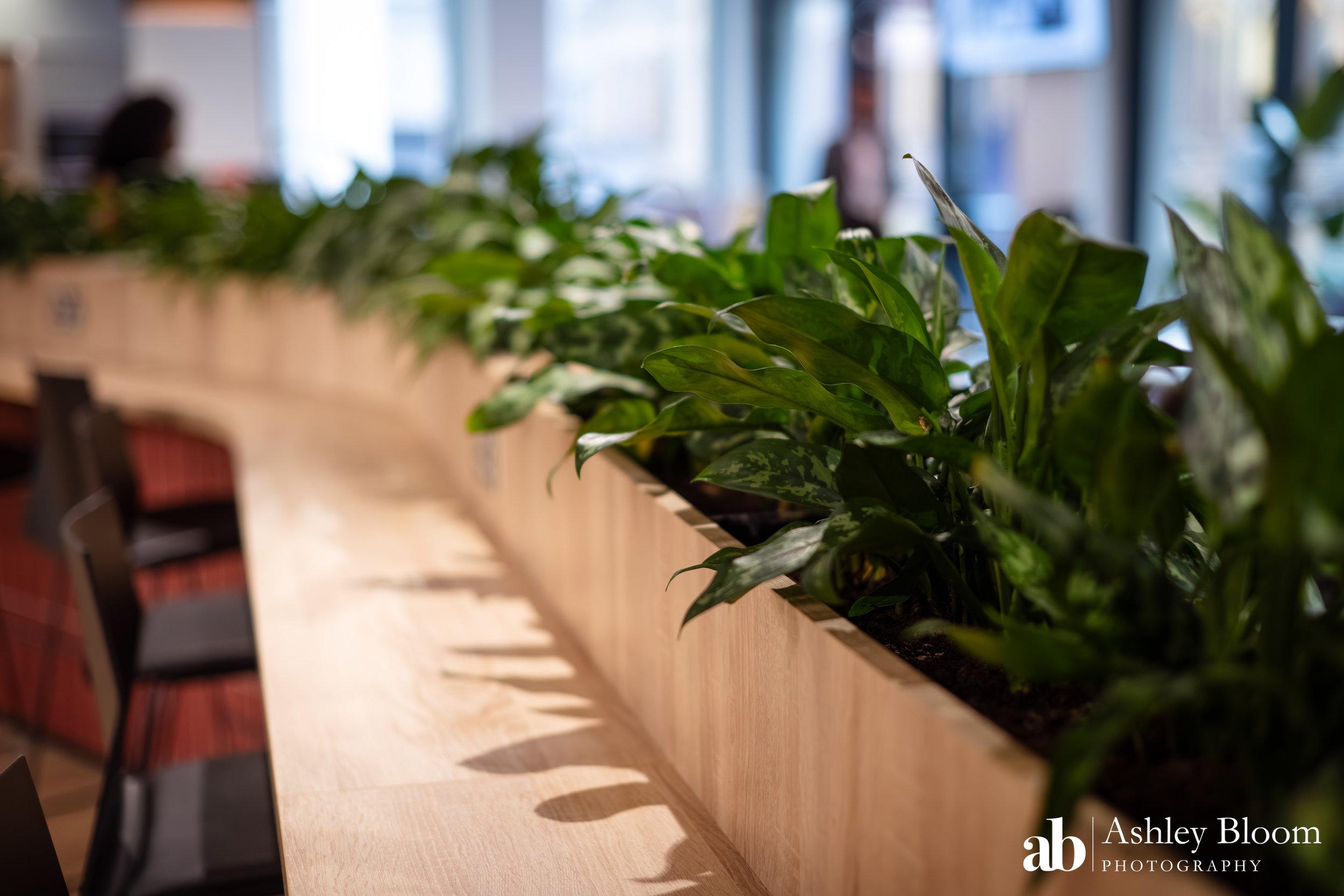 AITC - Equipped to Lead-9.jpg