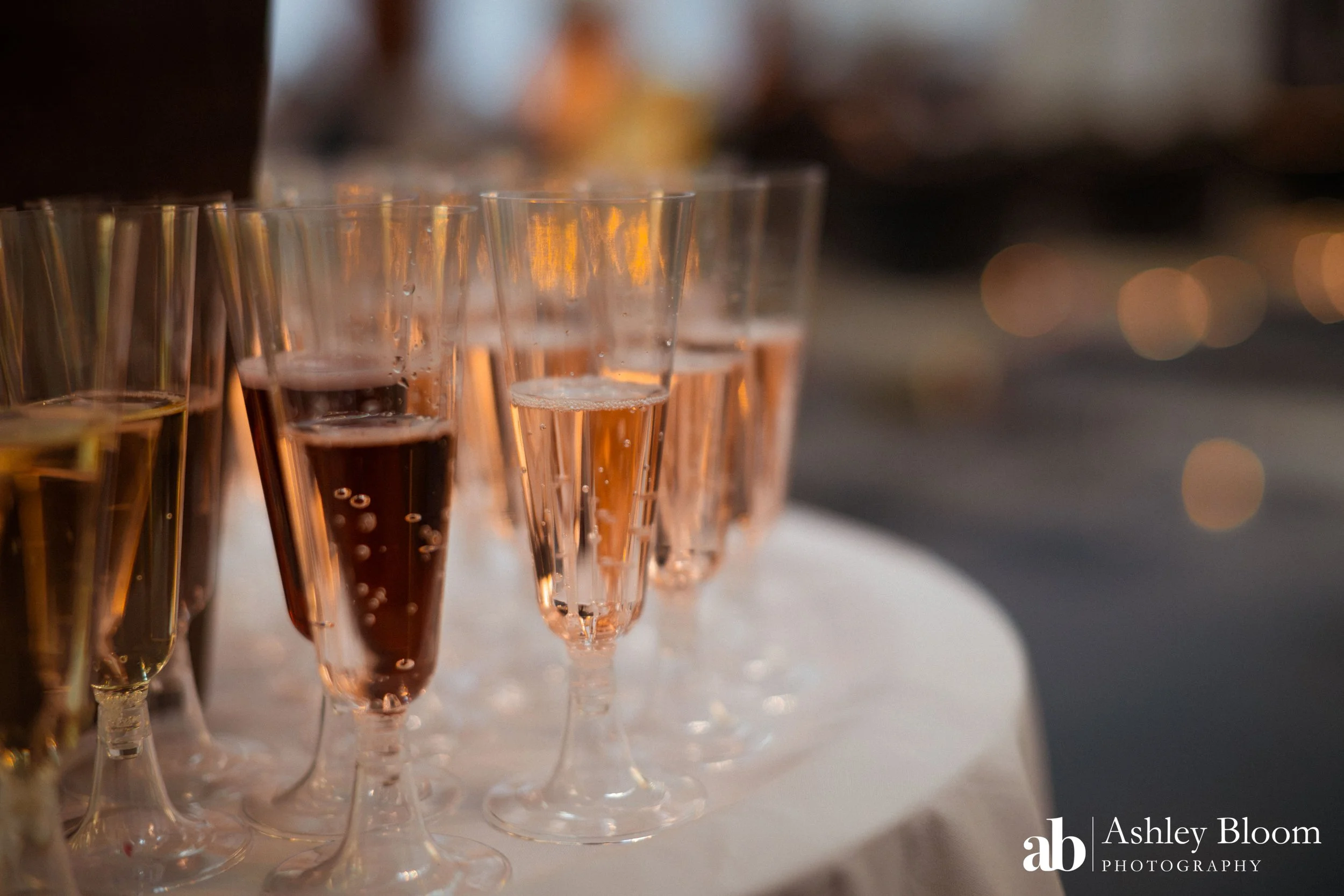 Curtis & Wanitta's 25th Wedding Anniversary-3.jpg