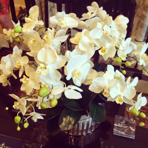 Stunning orchids at the event
