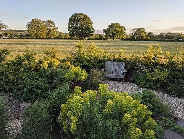 It's a beautiful evening and impossible to get anything done when there are views from the studio like this... There's a bit more of the studio garden in my stories 🌿. Gardening and the countryside is such a big part of my life and a complete tonic 