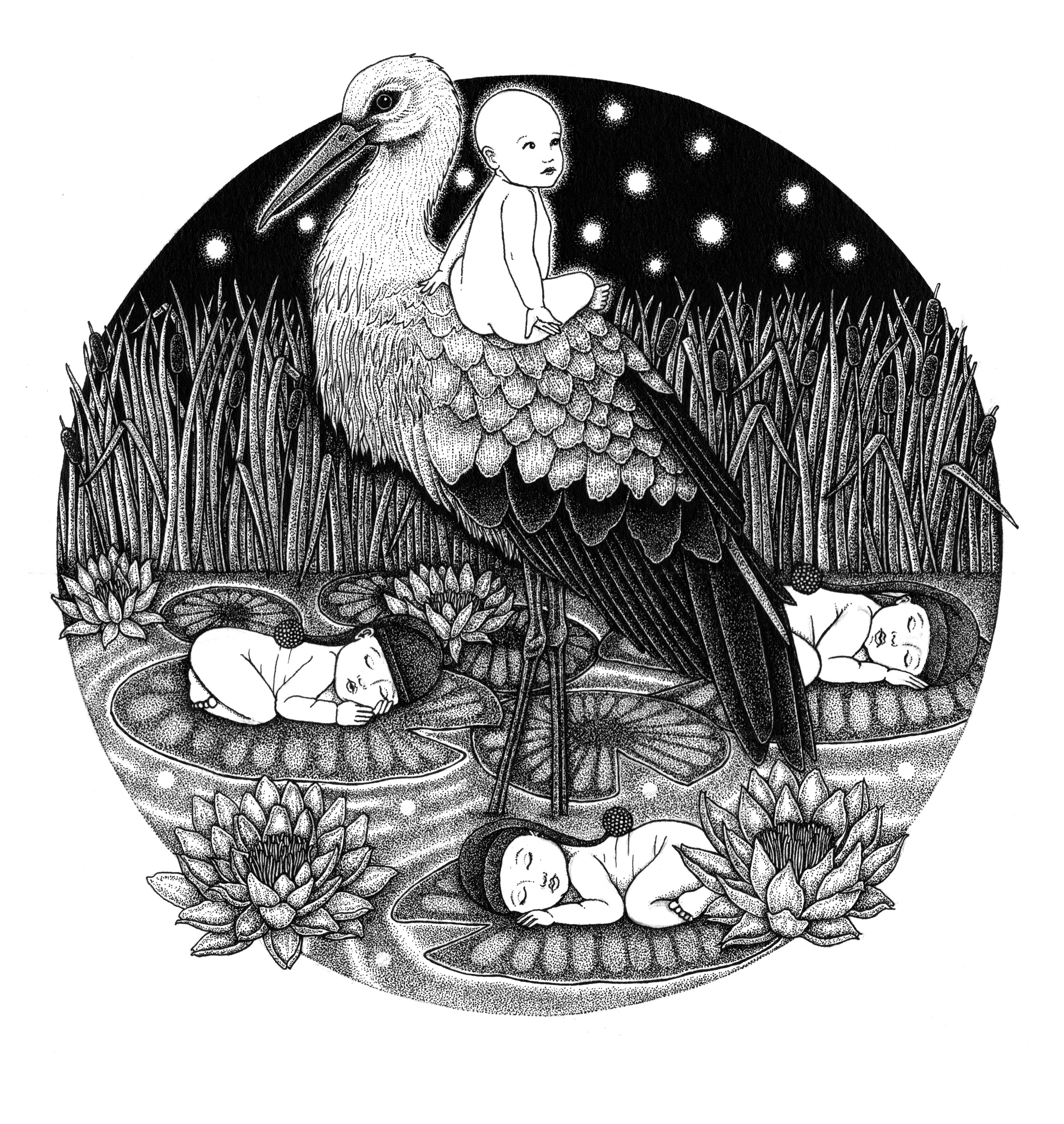 'The Storks'