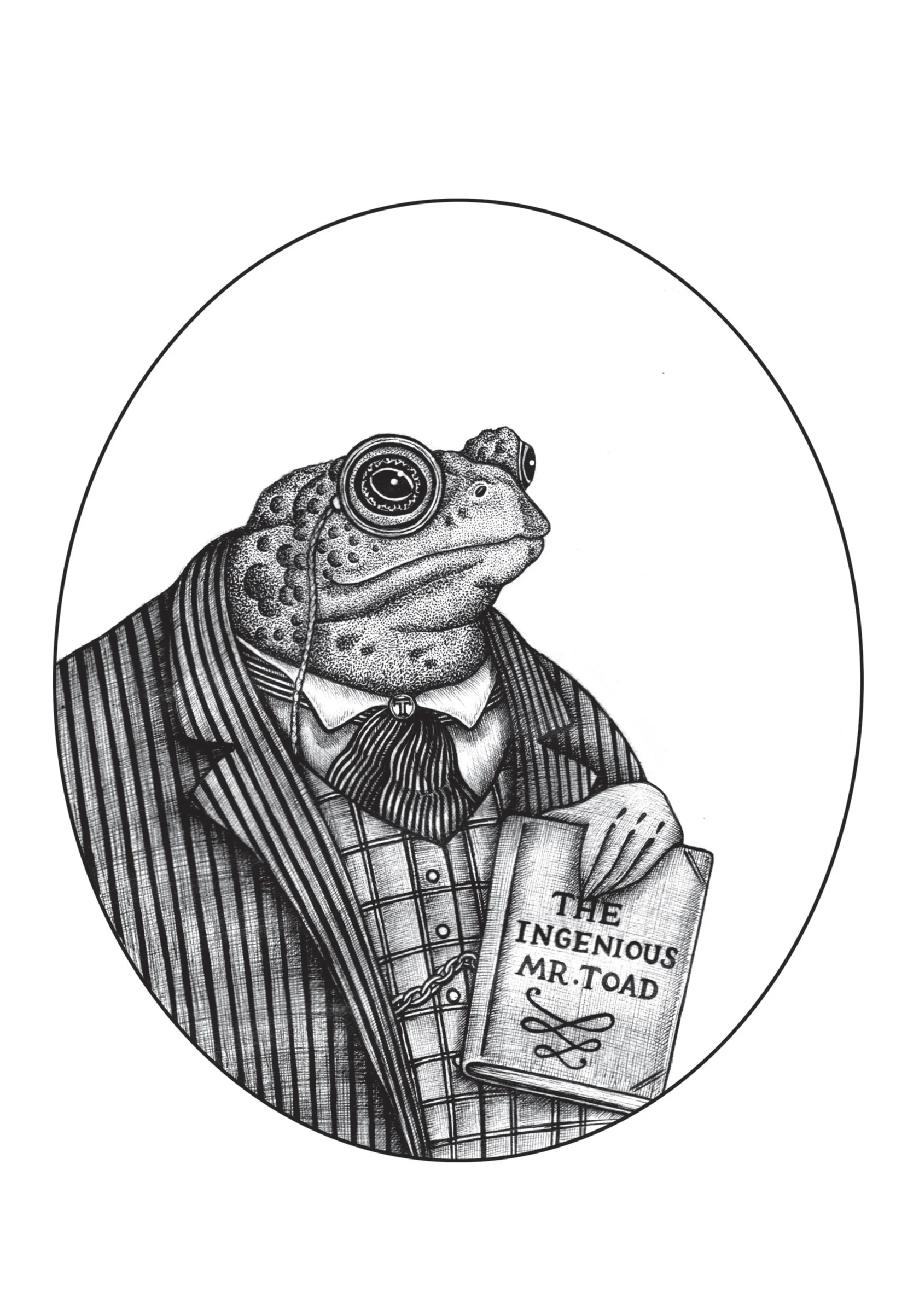 Mr Toad A5.jpg
