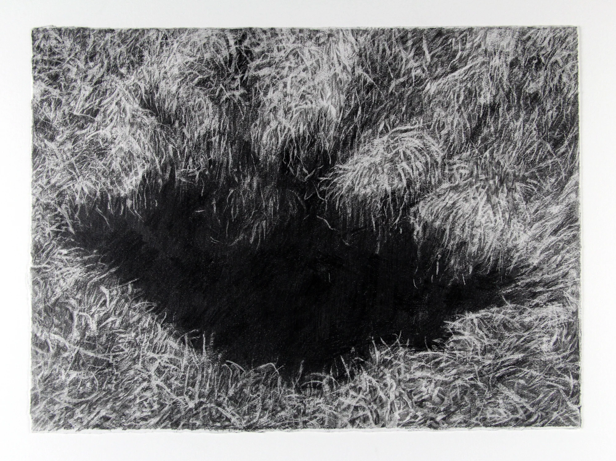 splinter. pencil on paper. 11 x 15”. 2011