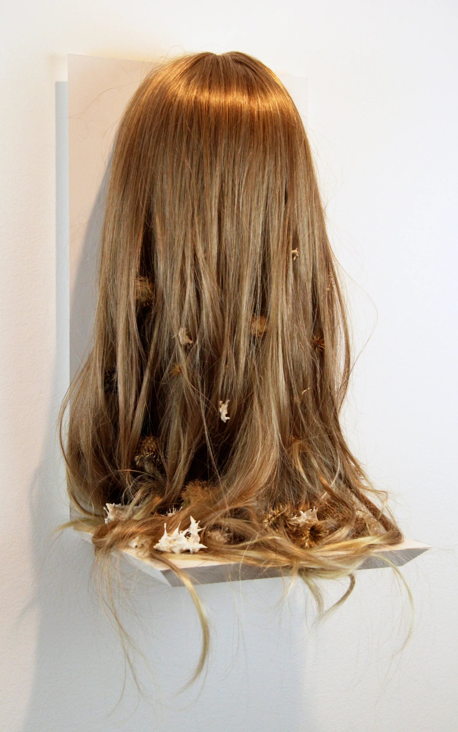 lonelily loomed into bone. wig, thistles, porcelain. 17 1/2 x 13 x 12”. 2011