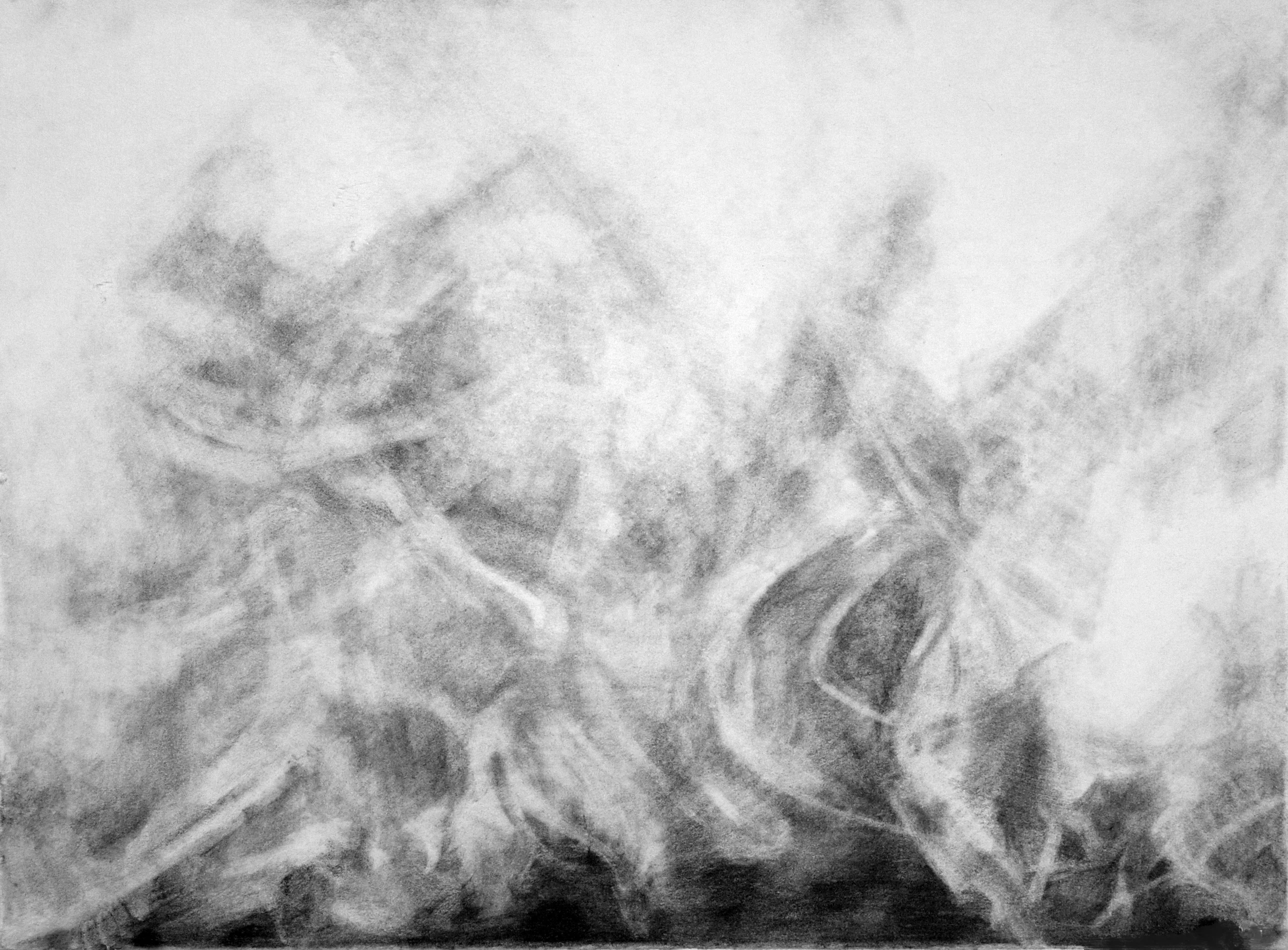 regret not one of the wasted days you wanted to know nothing. pencil on paper. 11 x 15”. 2011