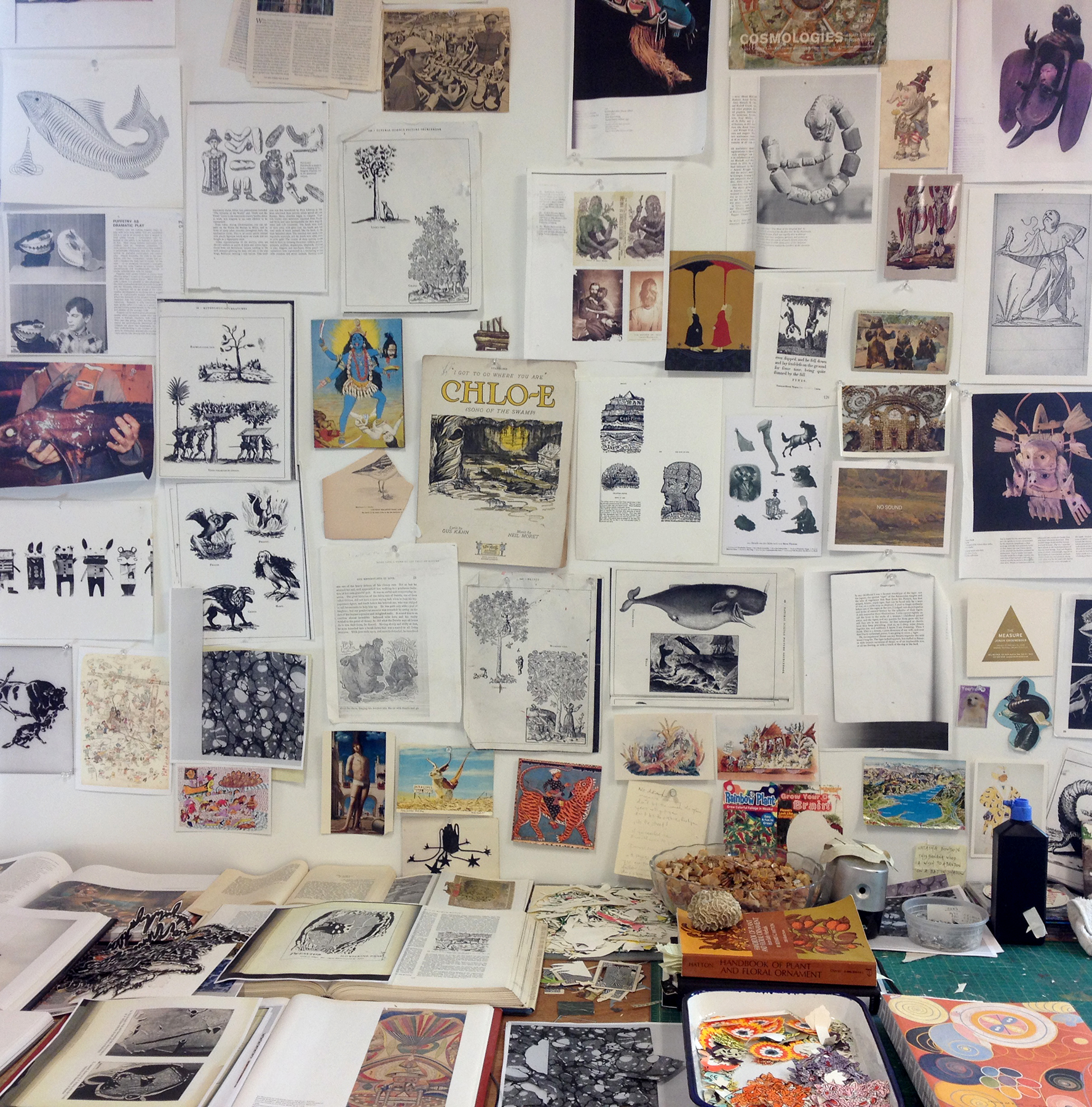 Studio shot