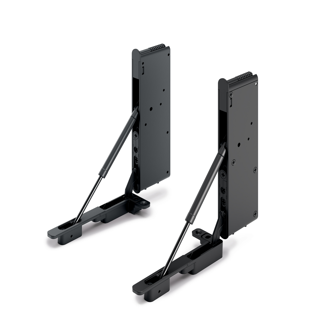 F250_ribalta Large.png