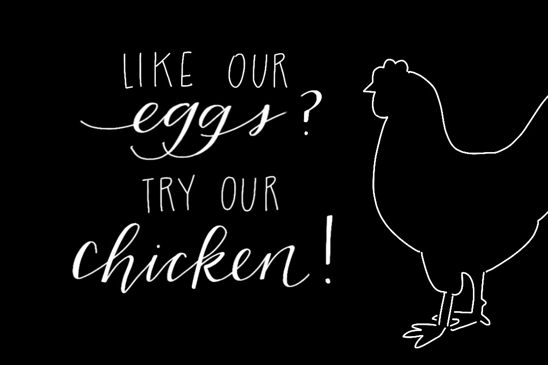 Handlettering - Like our Feed.jpeg