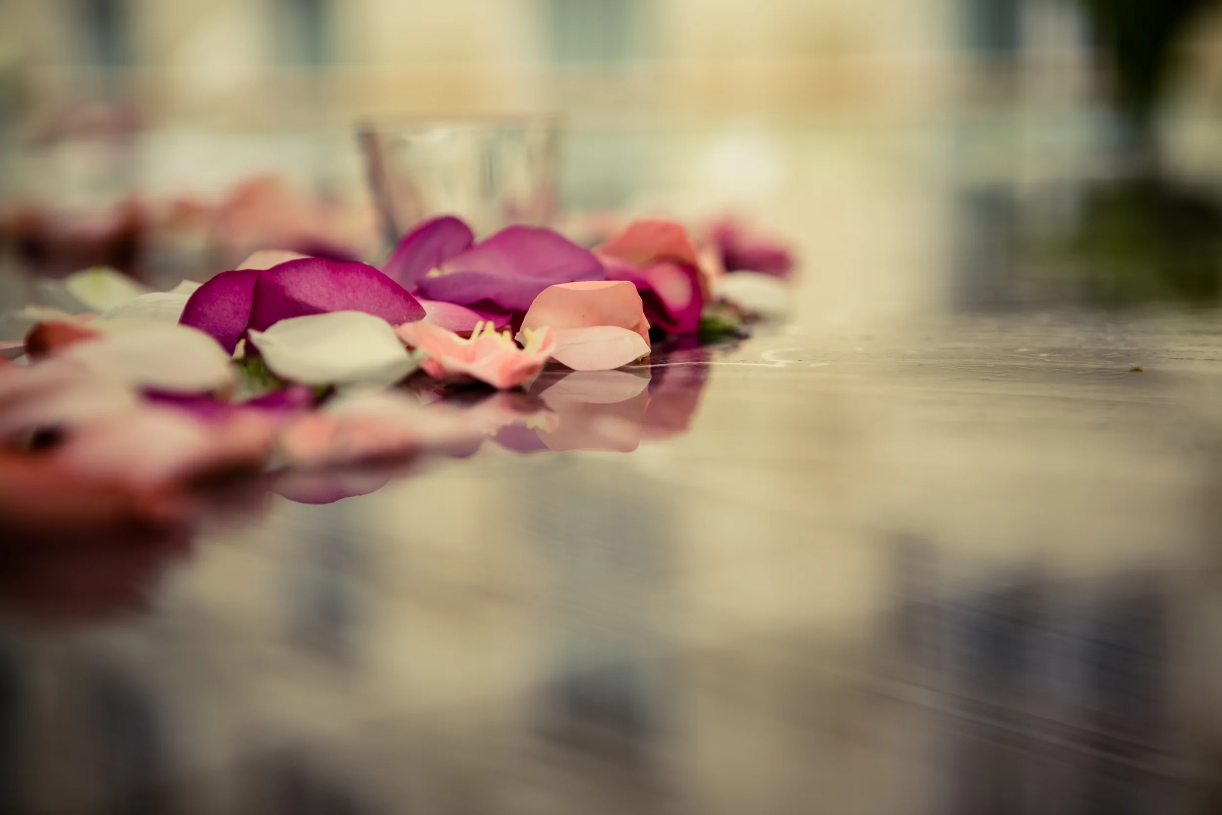 Sam And Jane edited 2013 (64 of 204).jpg