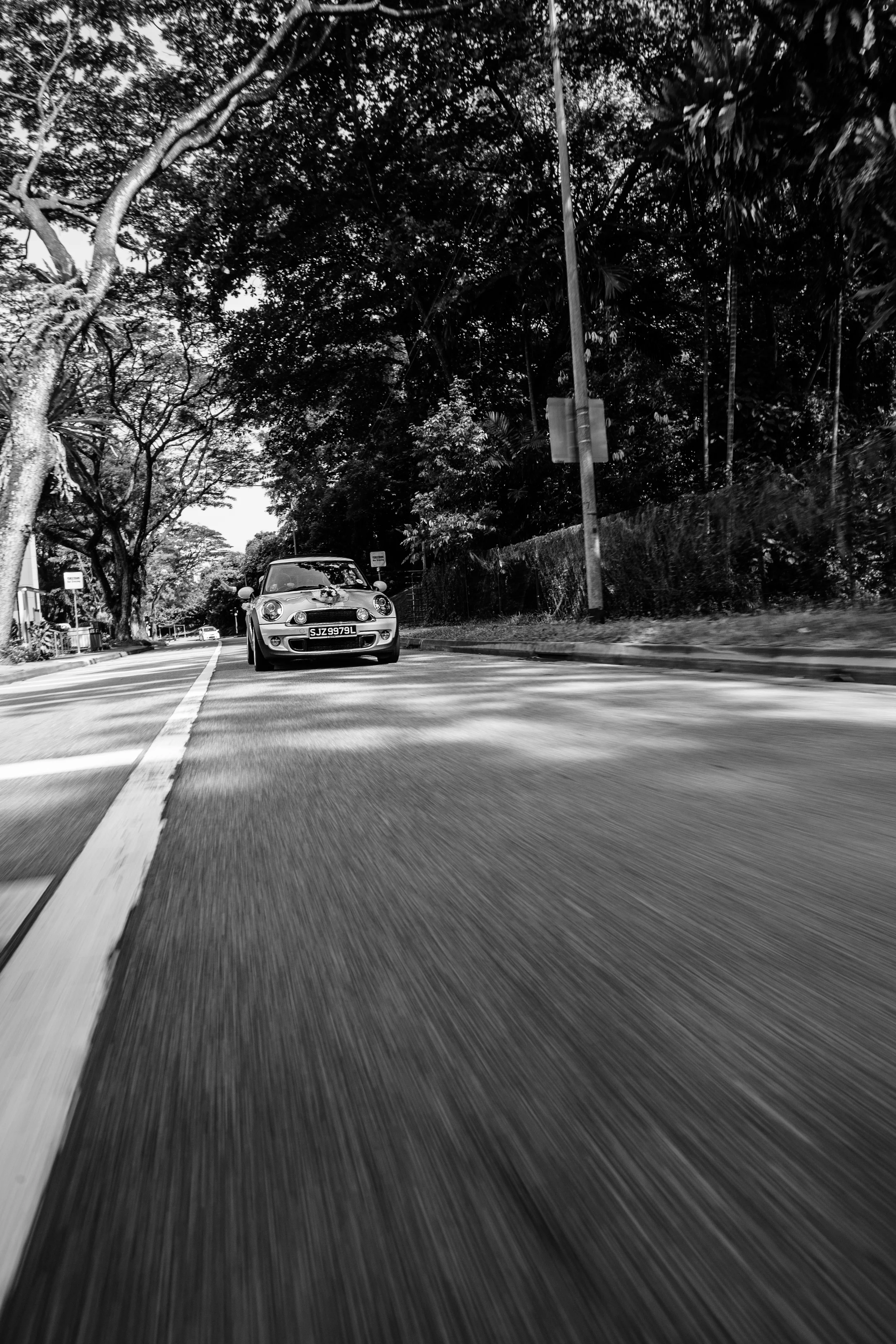 Wedding photos For website (216 of 240).jpg