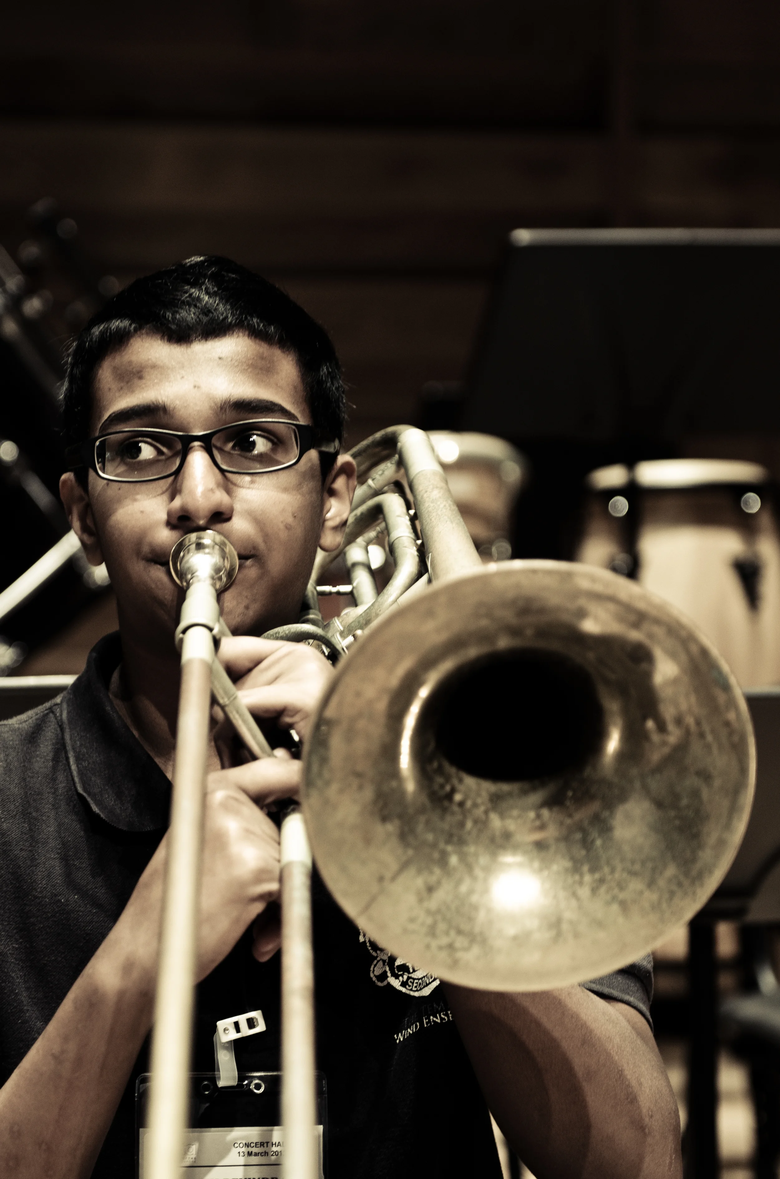 Temasek Band SOTA 2014 (2 of 30).jpg