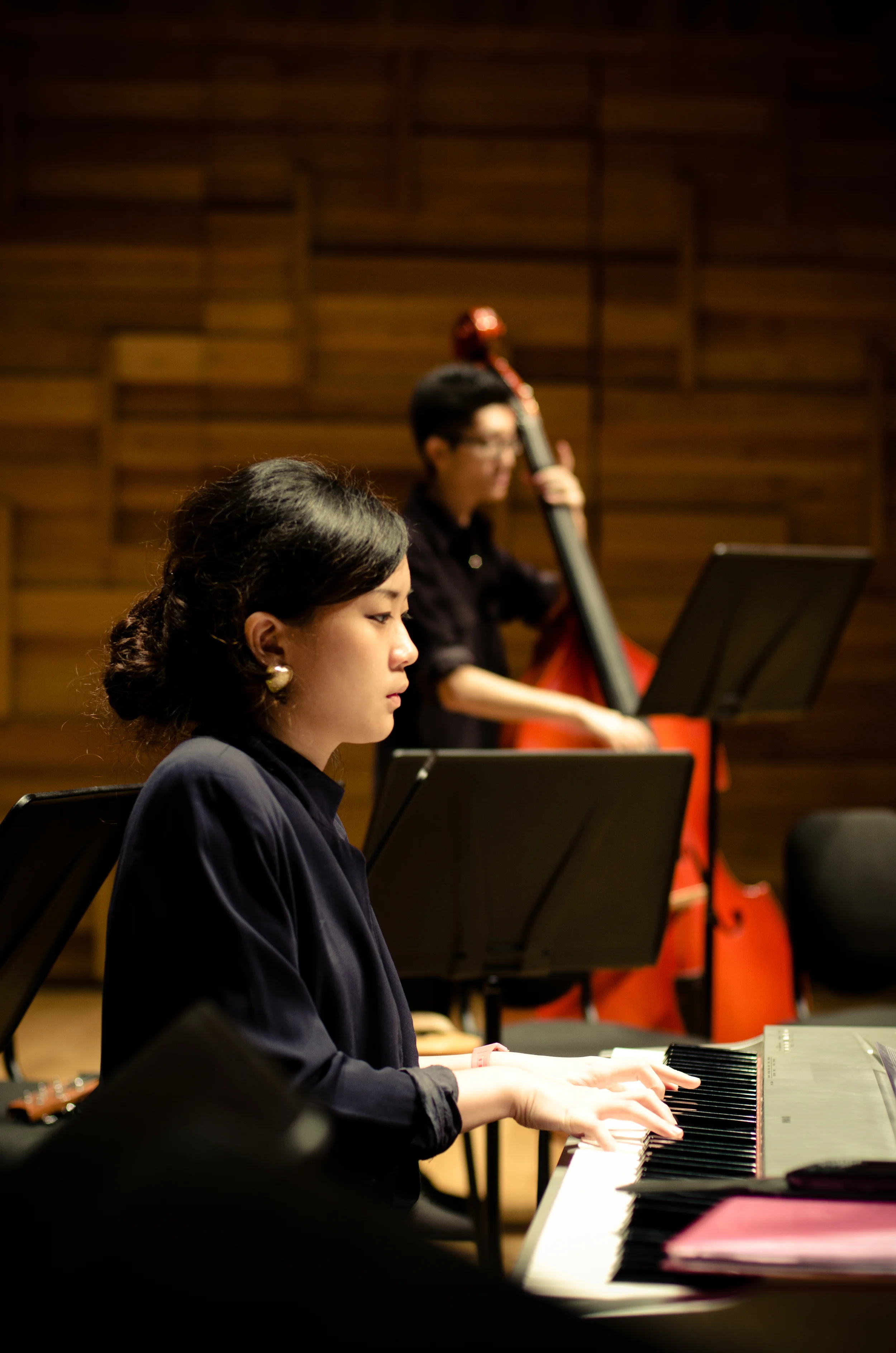 Temasek Band SOTA 2014 (5 of 30).jpg