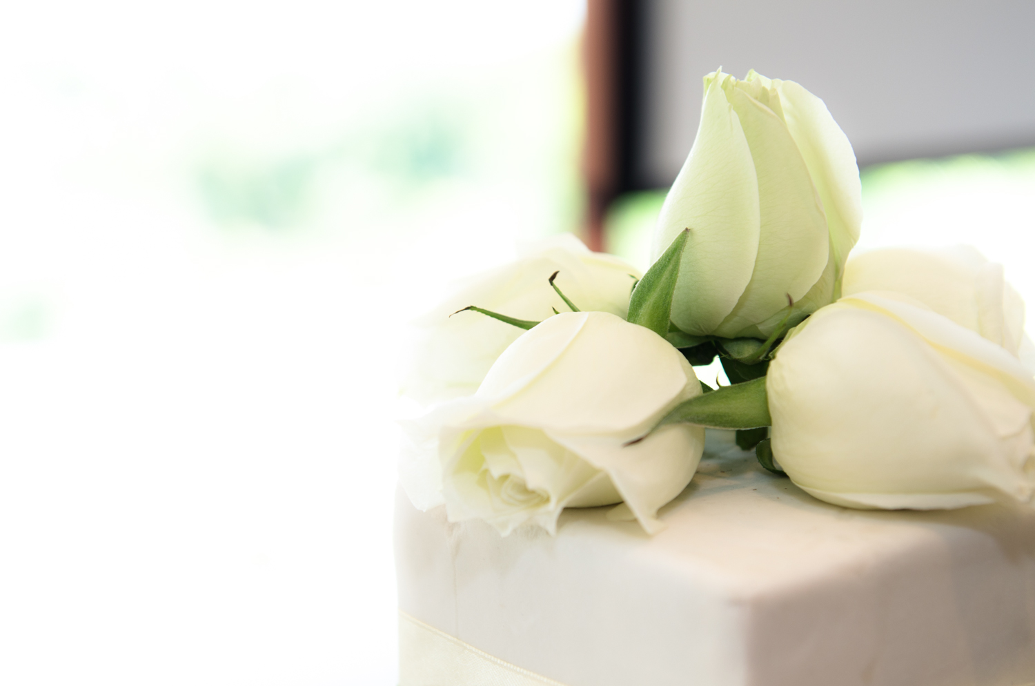 Website cover pages (2 of 19).jpg