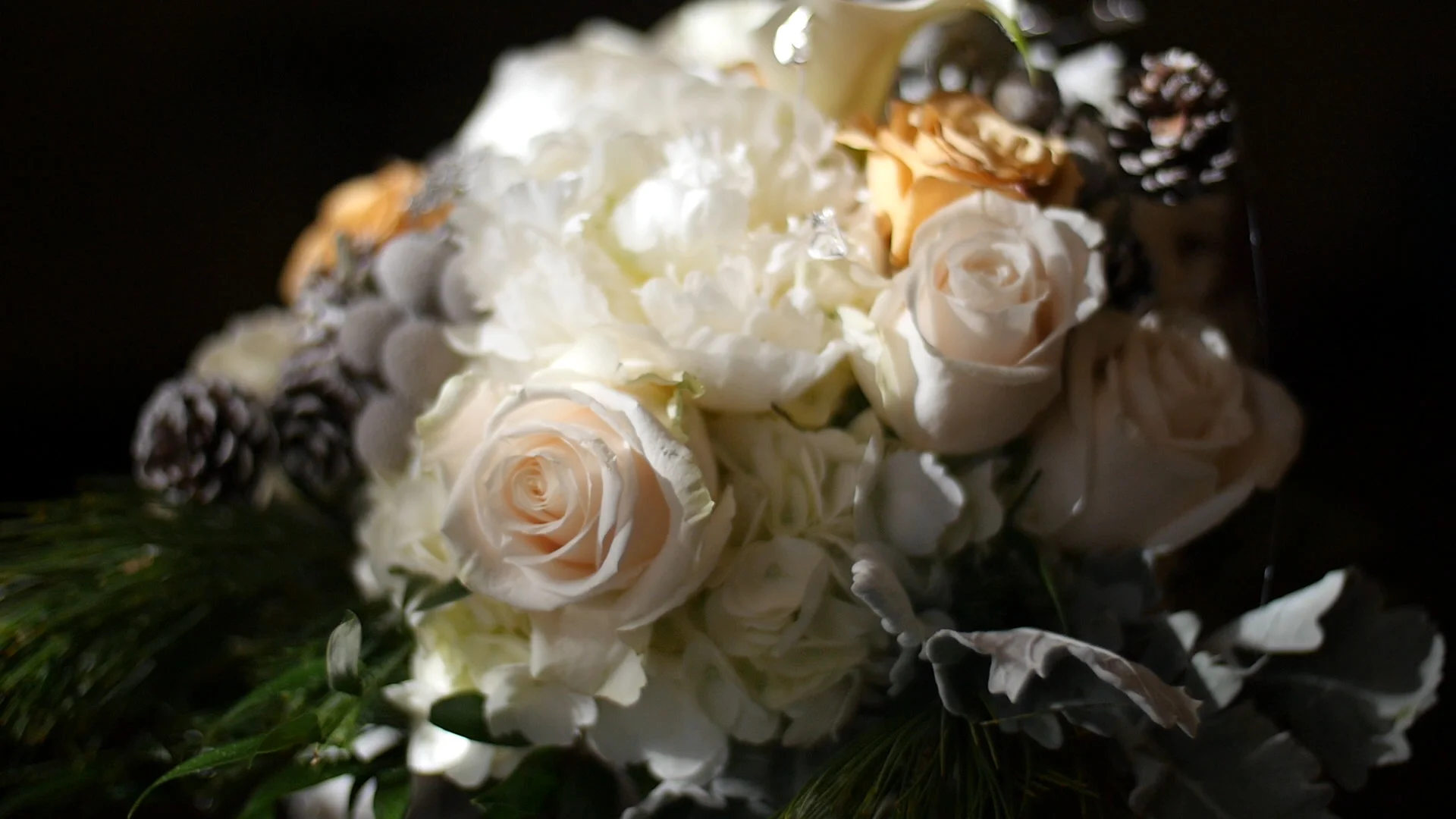 Wedding Website Image.jpg