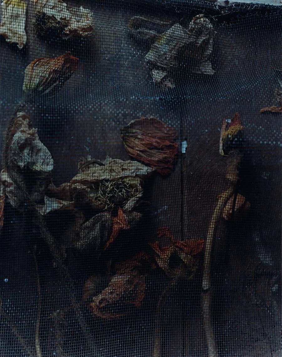 HeartOfGlass15.jpg