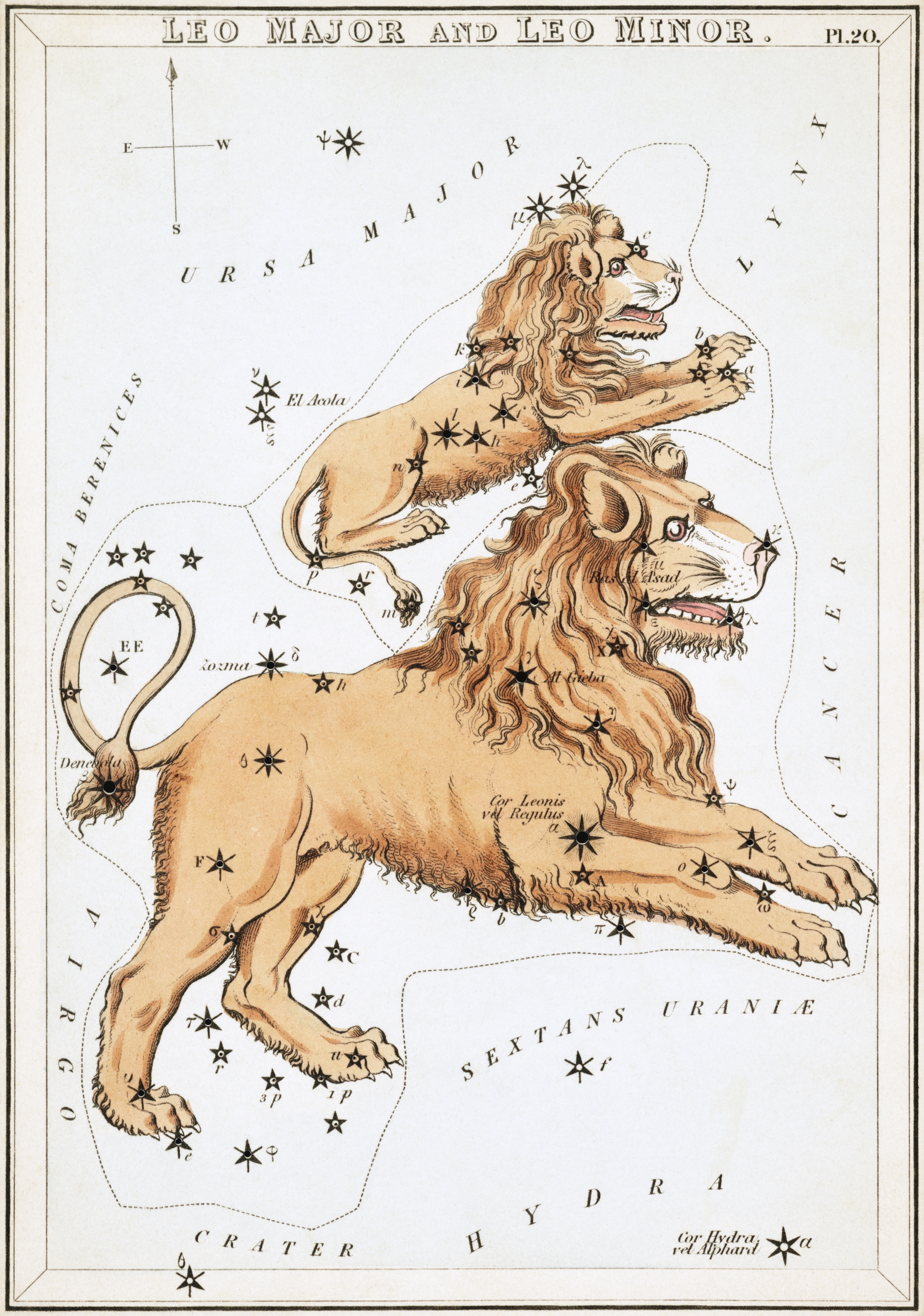  "Urania's Mirror - Leo Major and Leo Minor" Sidney Hall