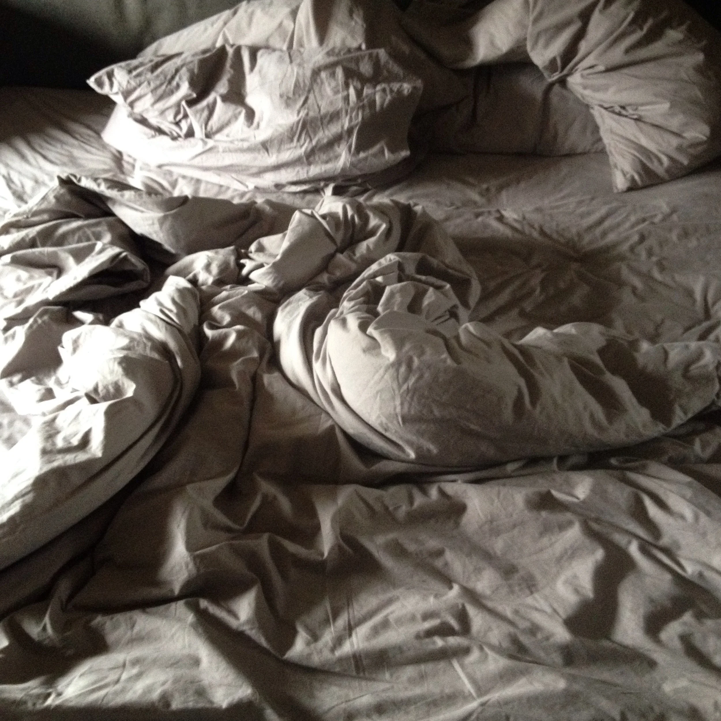 "In a Friend's Bed" Martyn Thompson