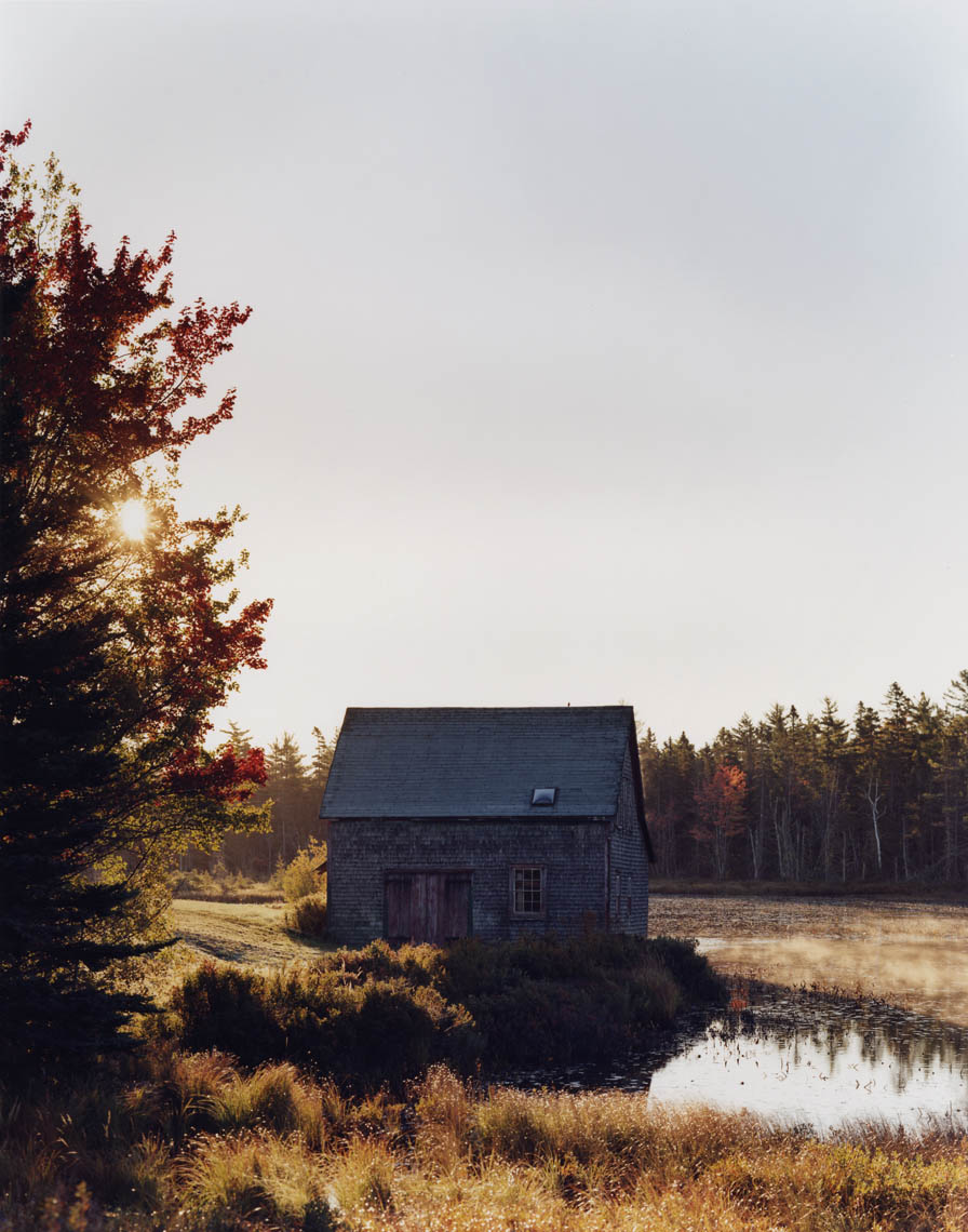 "Morning" - Martyn Thompson - See more from the Martyn Thompson Studio Instagram .