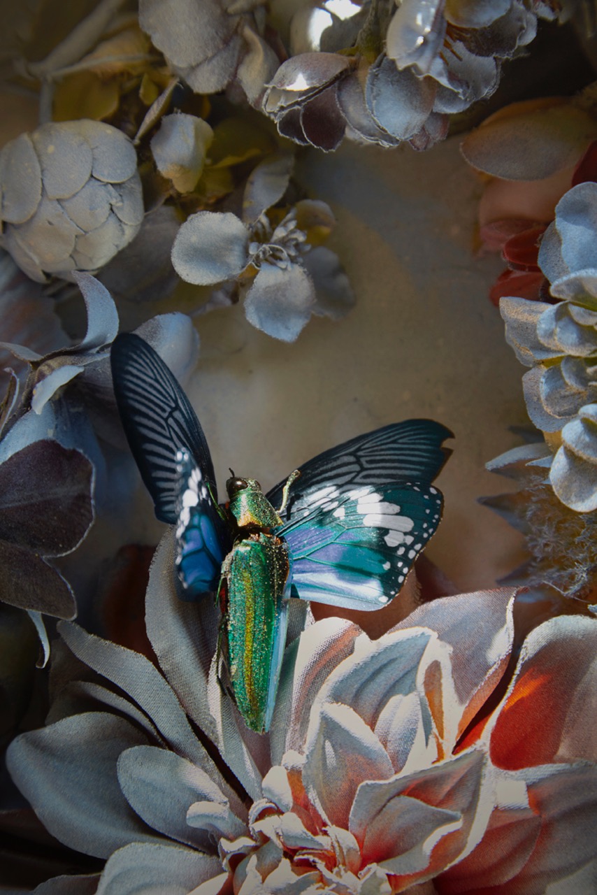 "Beginning" - Martyn Thompson