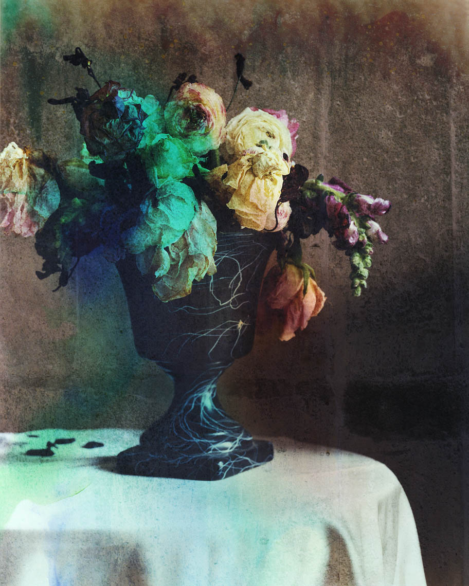 "Bloom" - Martyn Thompson