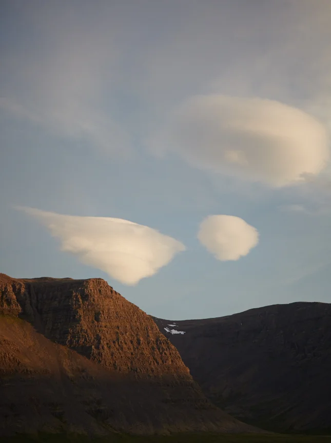 "Trio" - Martyn Thompson