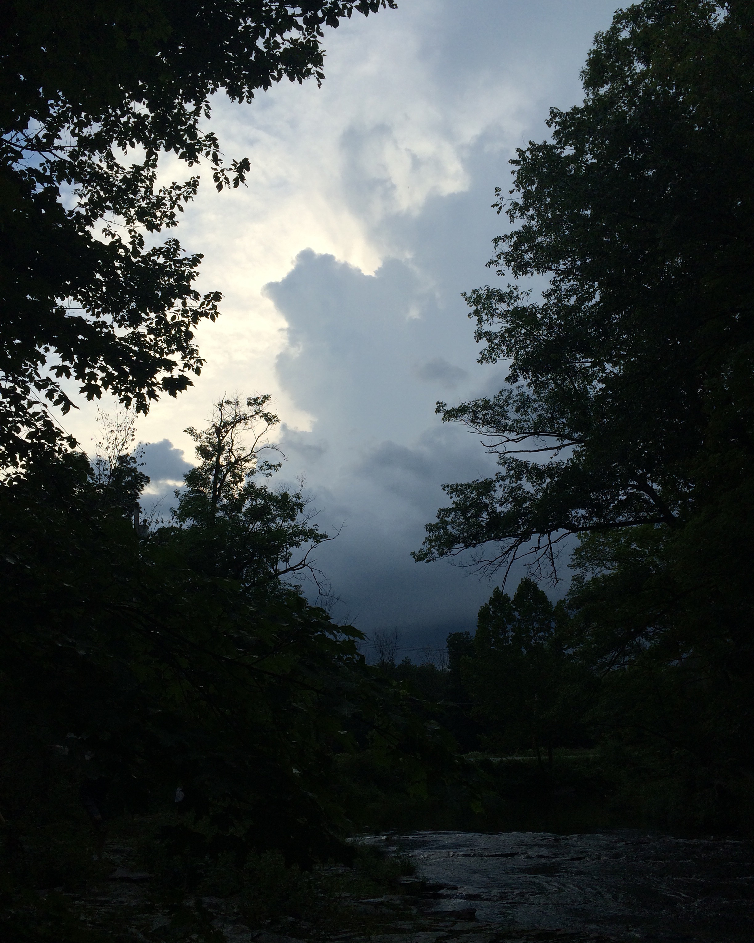 " Before the rain" - Martyn Thompson