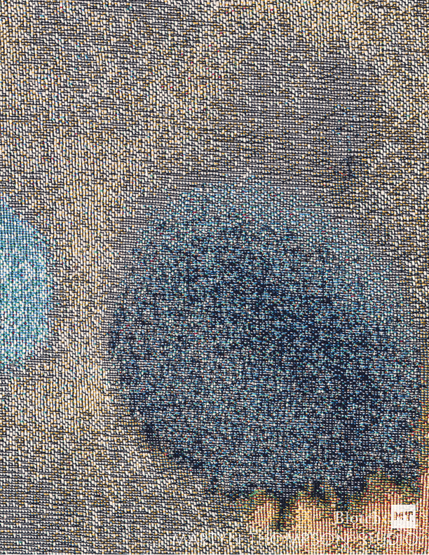 Blotch_scan.jpg