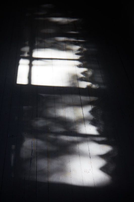 SUMMER SHADOWS