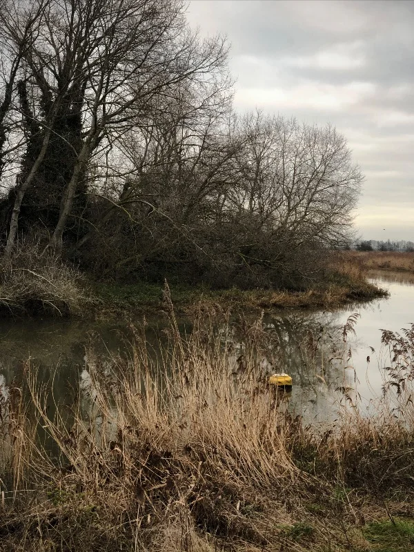 The River Stour, Kent.