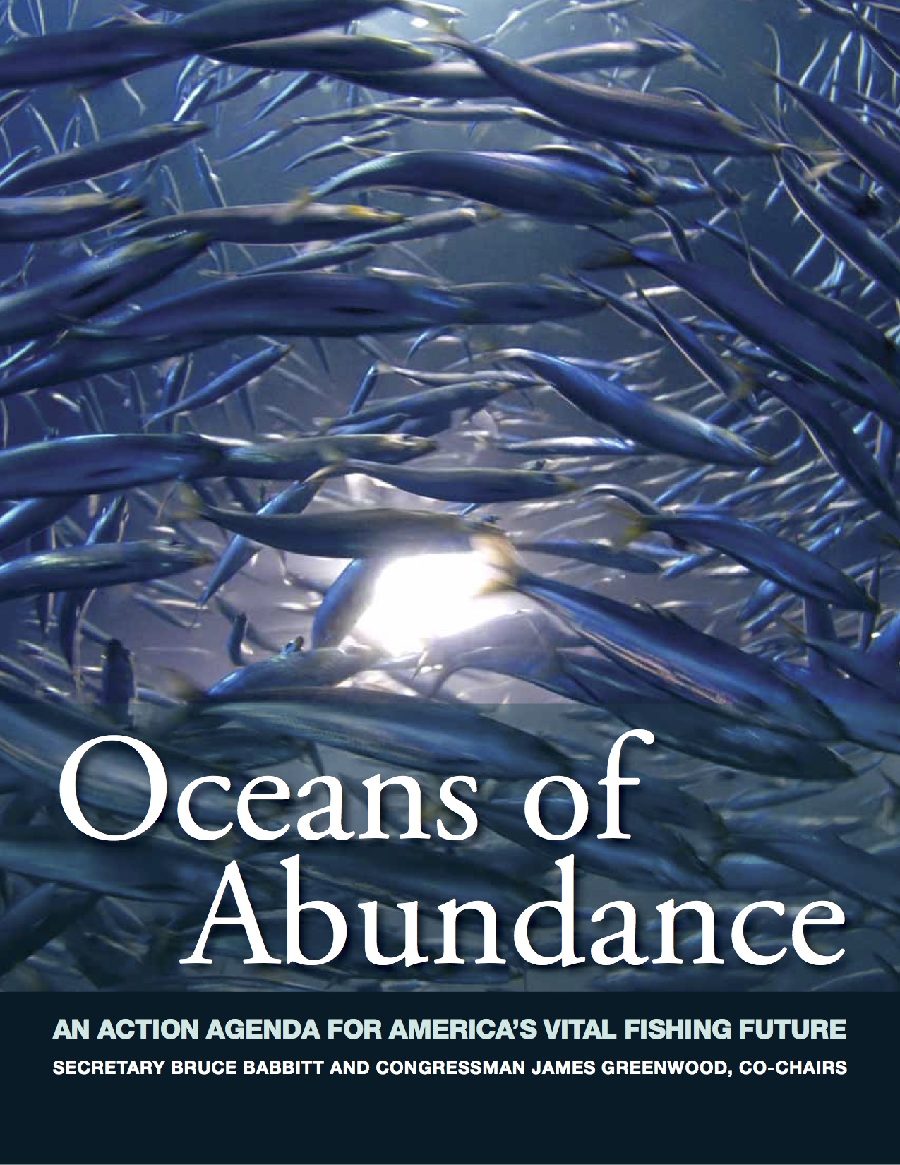 oceans-of-abundance.jpg