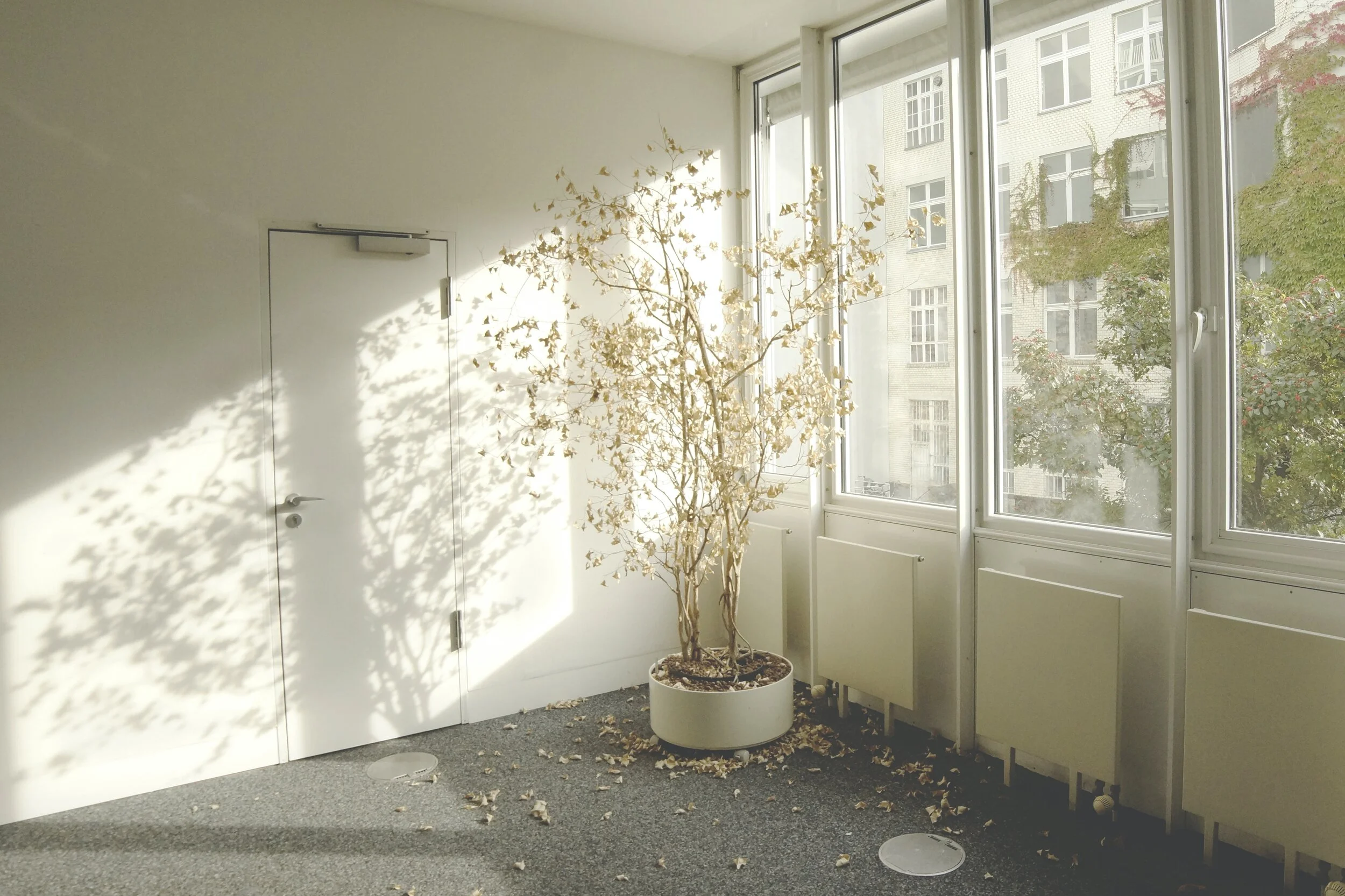 How to Foster Sustainability: Rhythms and Boundaries