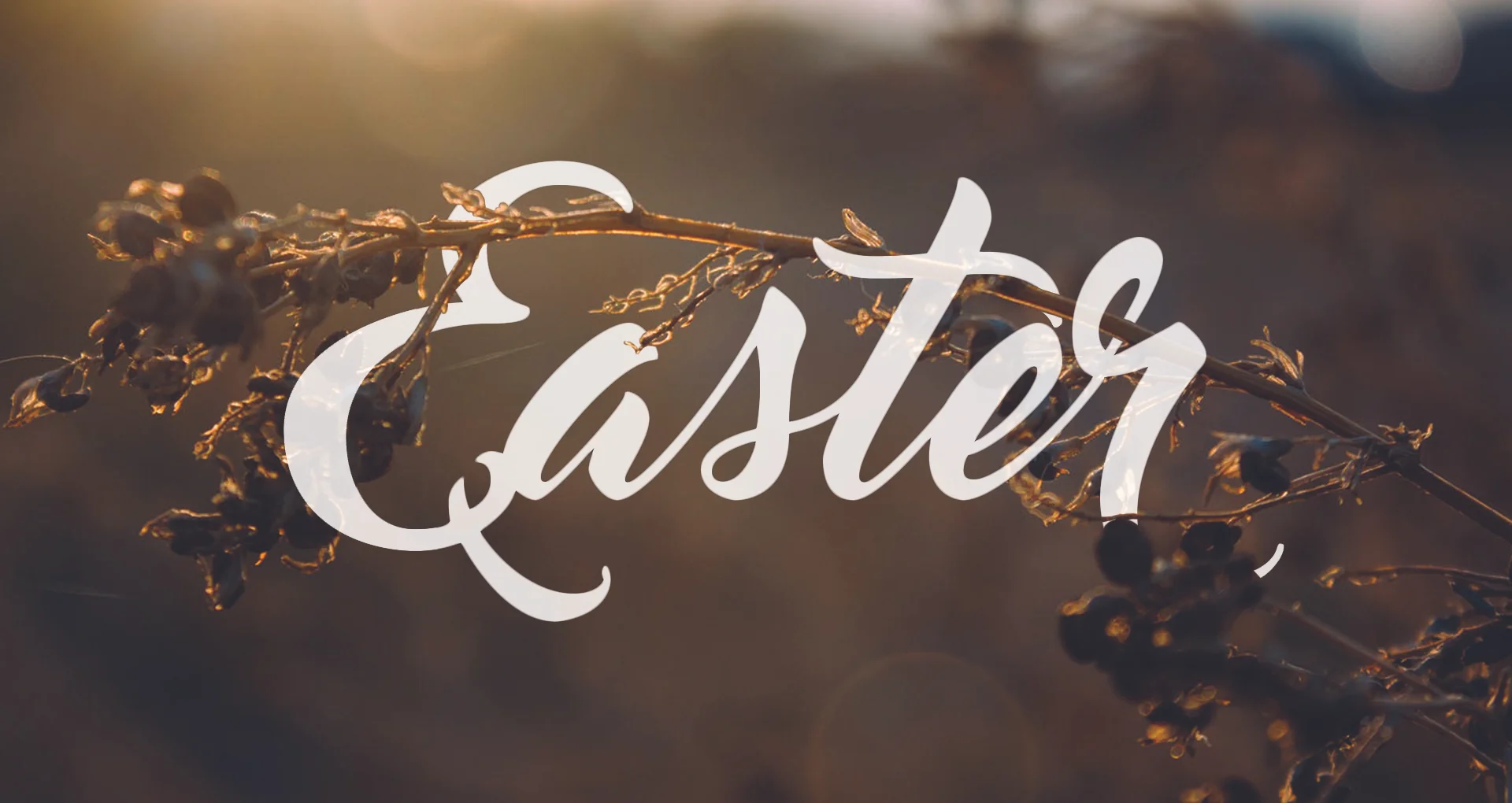 Death and Life in Seven Steps (Easter)