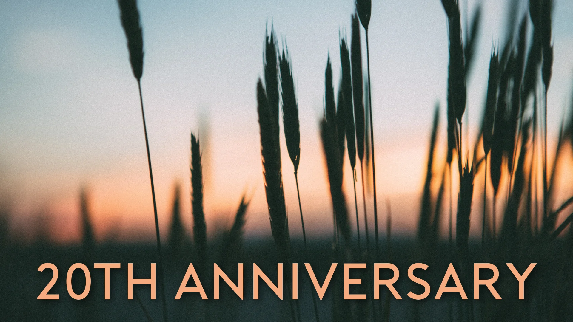 20th Anniversary