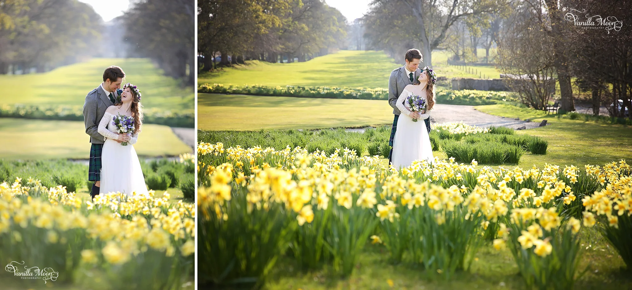 marjorie daffodils.jpg