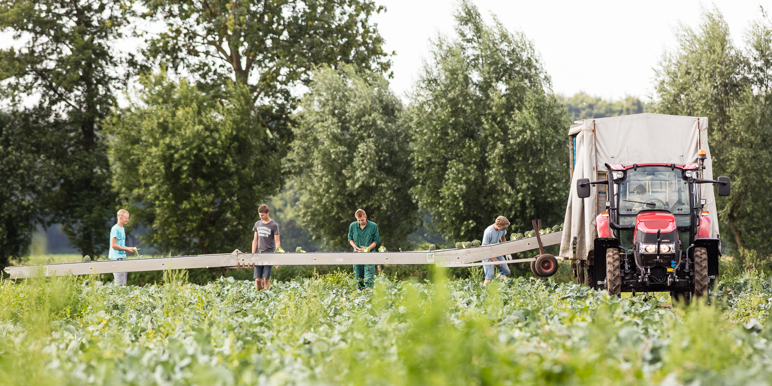 Raalte