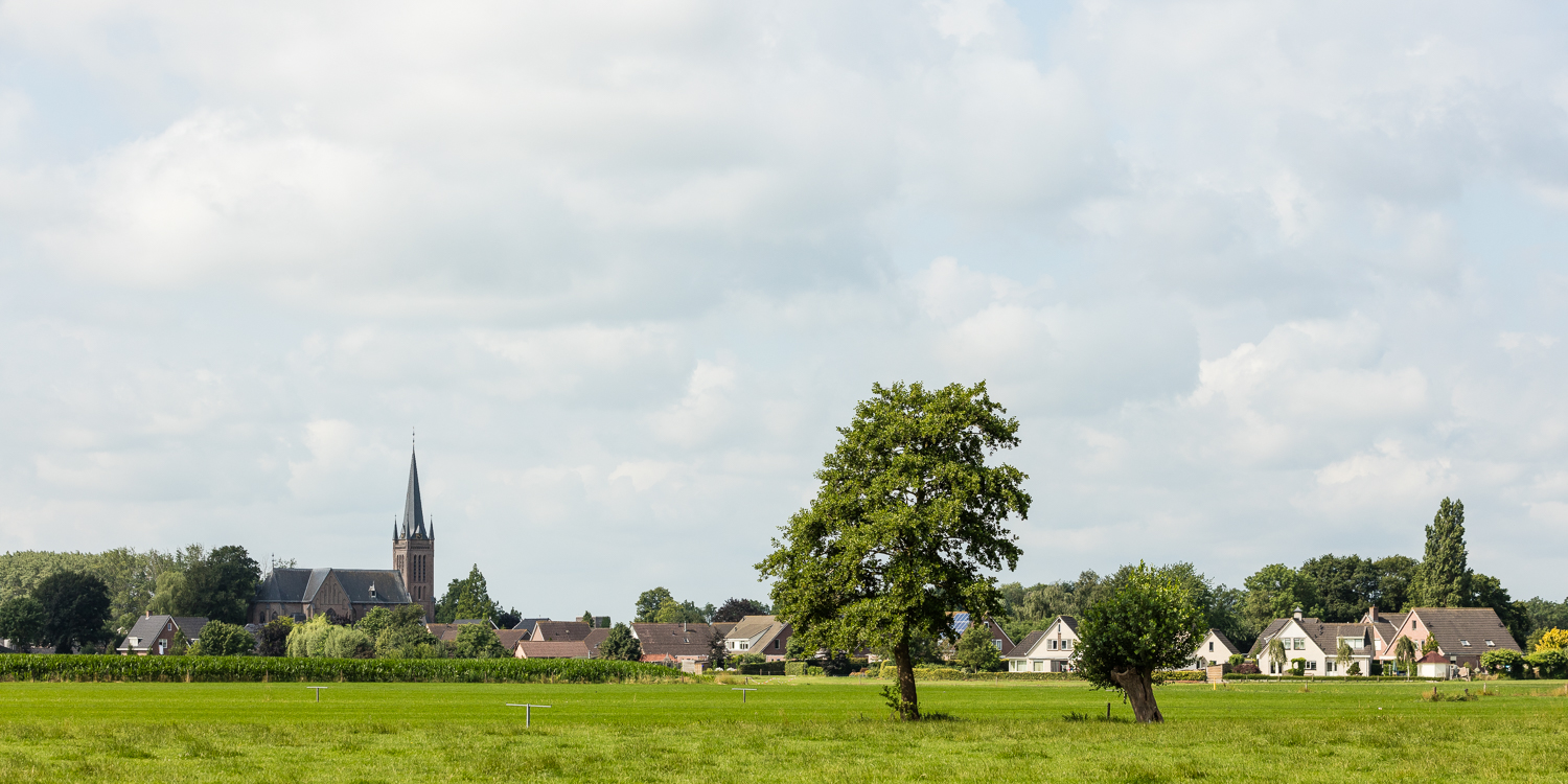 Boerhaar